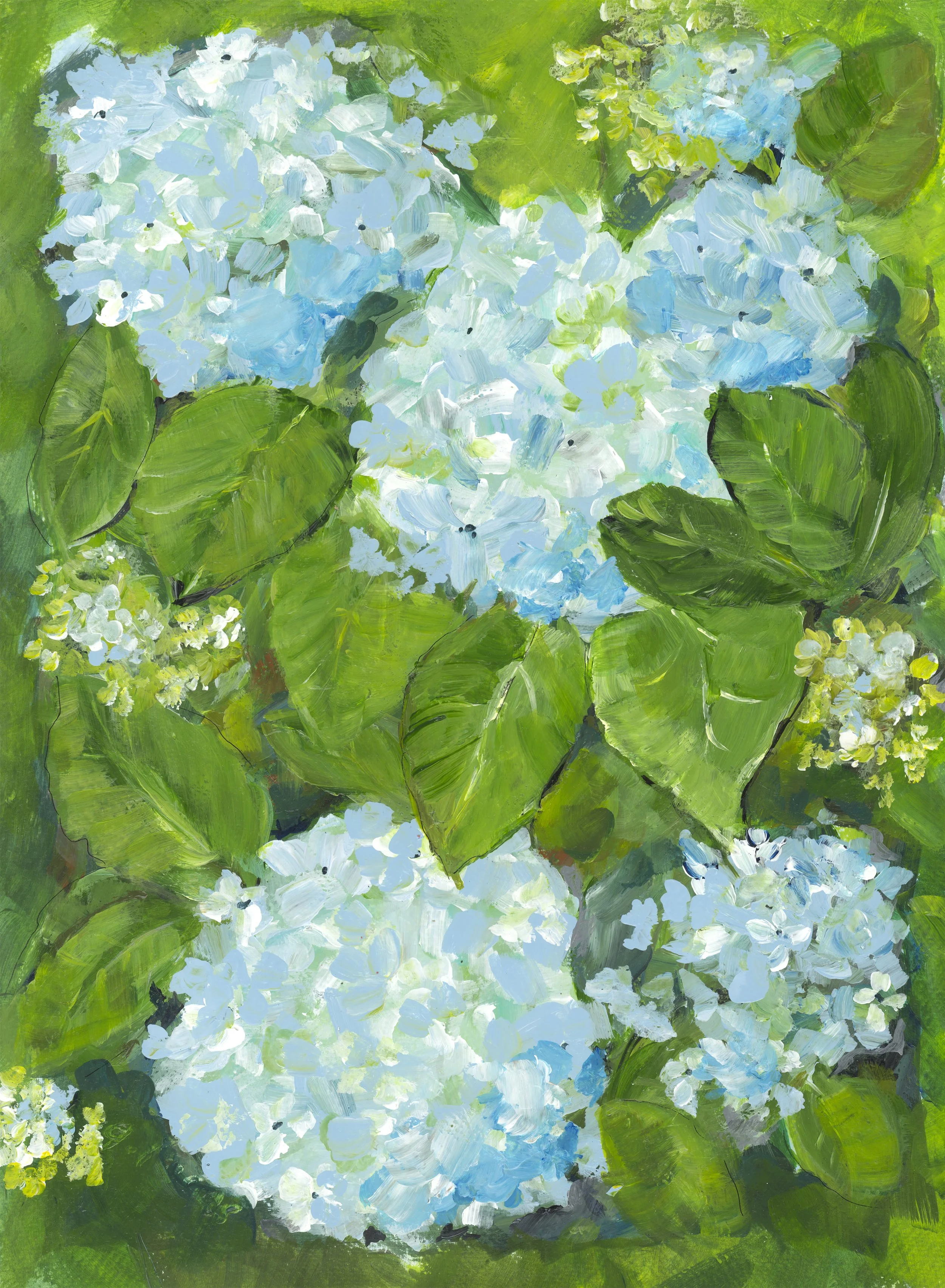 Hydrangeas 11x15 300dpi.jpg