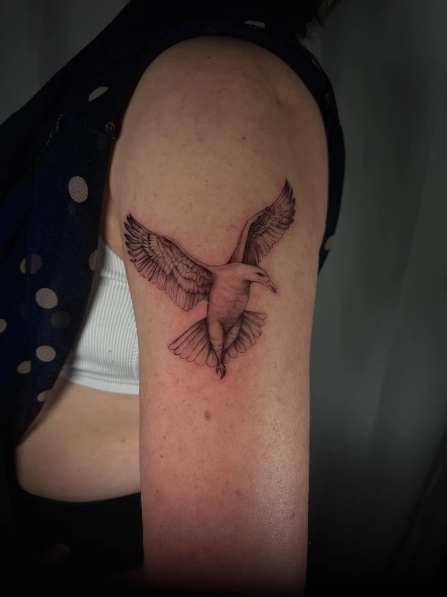 Albatross 🖤🖤

#femaletattooers #madisonwi #albatrosstattoo #blackandgray