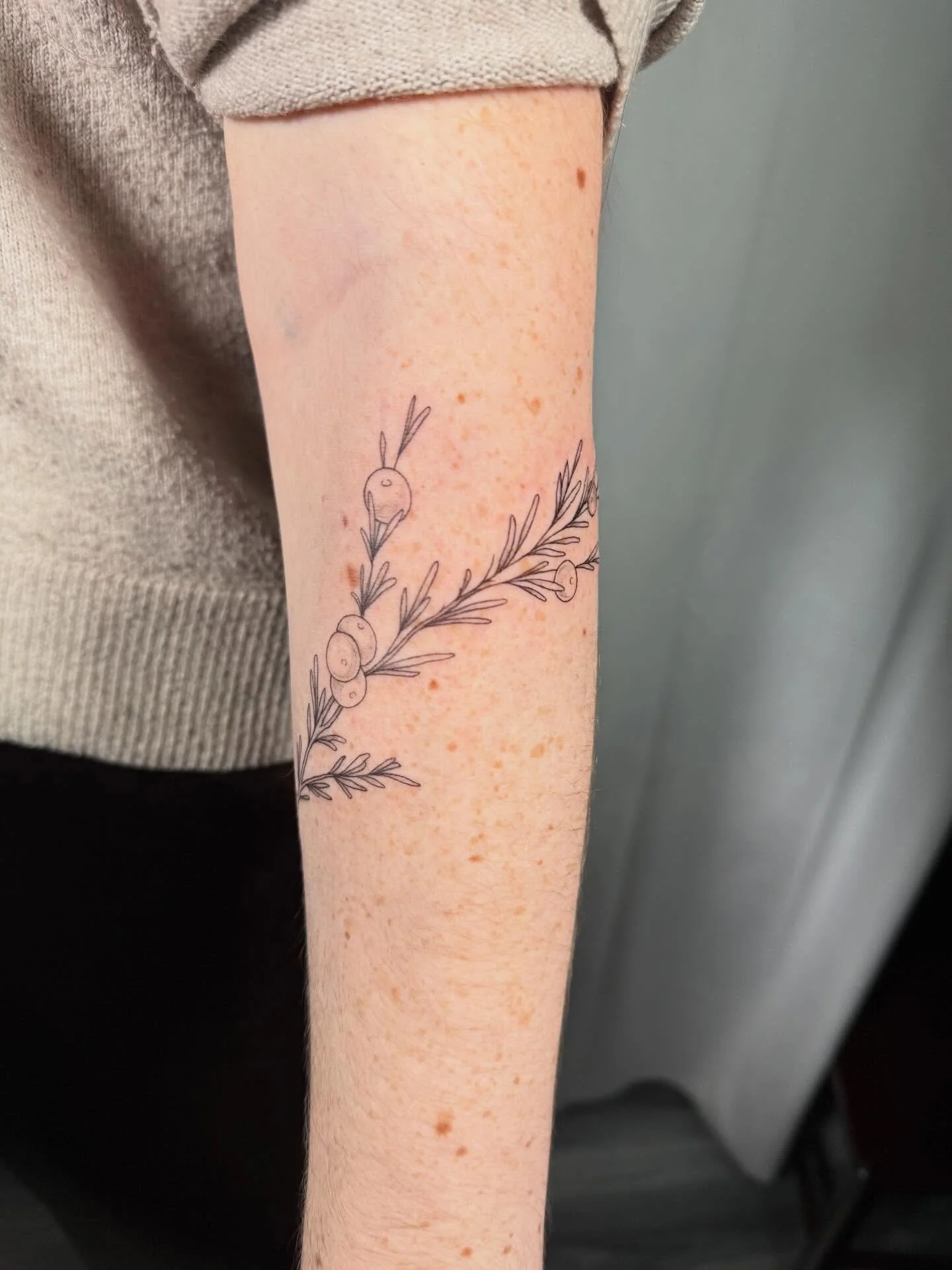 Cute fine line 
#femaletattoosrtist #madisonwi #fineline