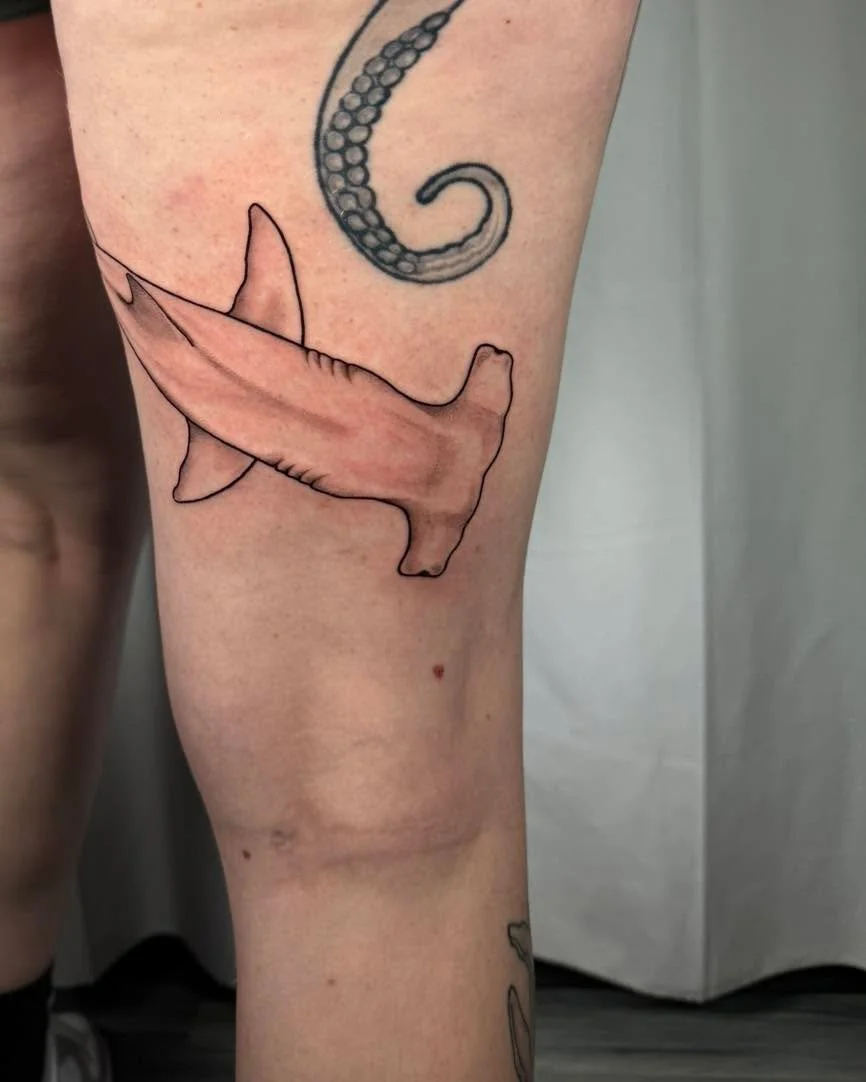 Hammerhead shark 🦈 

#sharktattoo #tattoos #madisonwi