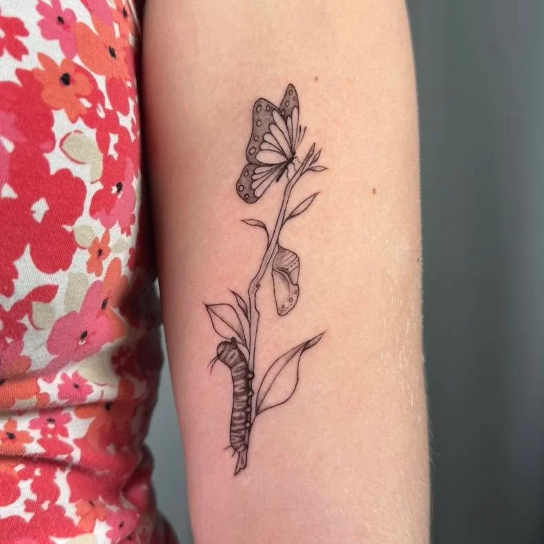#MadisonWI #femaletattooartist #finelinetattoo #butterflylifecycle #butterfly #tat #butterflytattoo