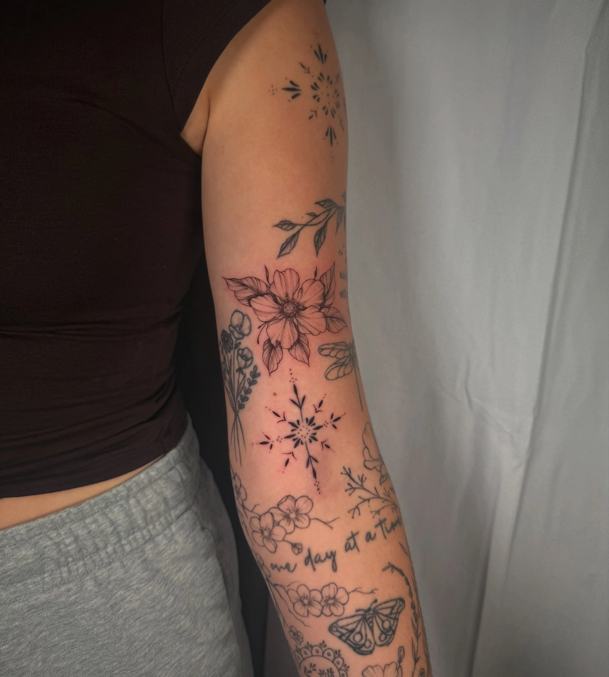 Ornamental and flower 🖤