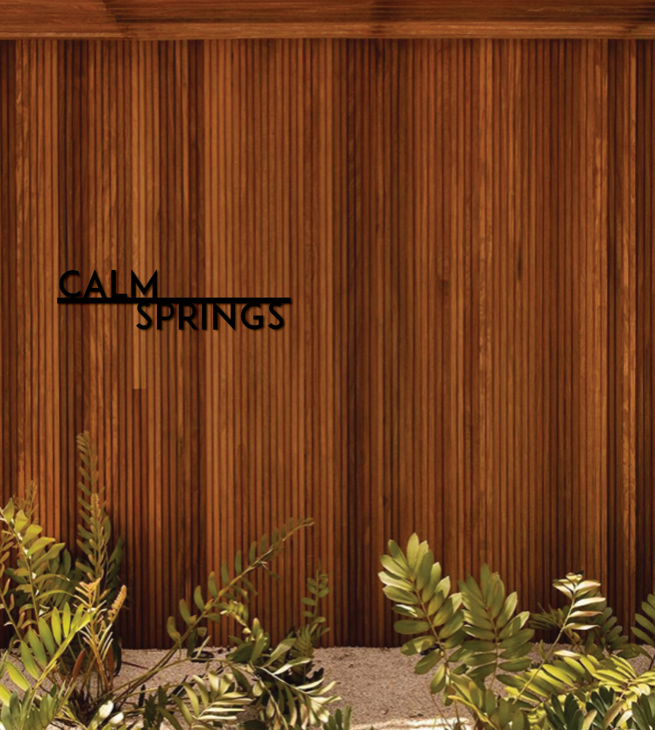 Script insituefff.png