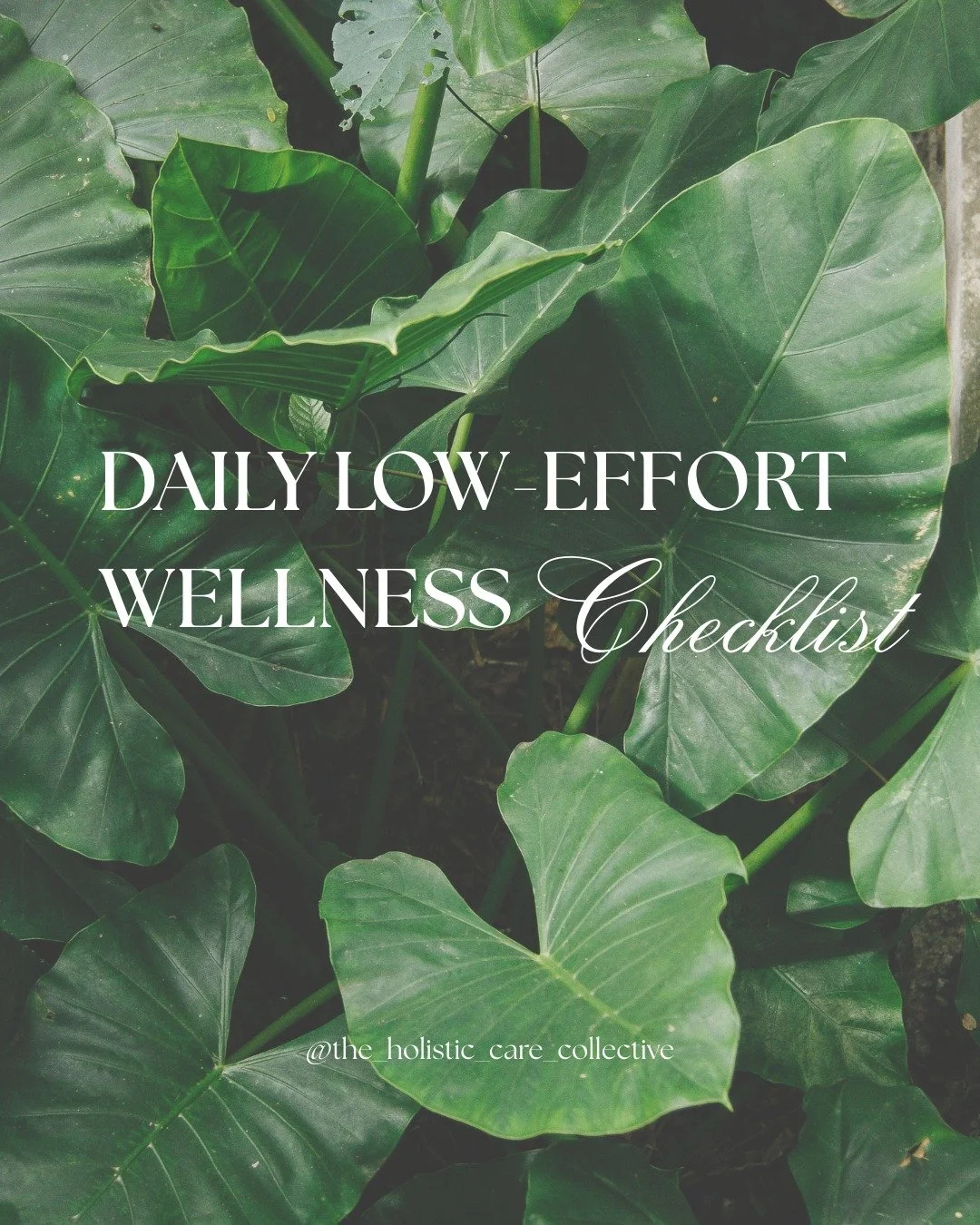 🌿Wellness Wednesday Reminder 

Wellness doesn&rsquo;t have to be complicated. Often, the biggest impact comes from the small habits we repeat daily.
Today&rsquo;s reminder: check in with the basics.

Low effort. High impact. Consistency is what matt