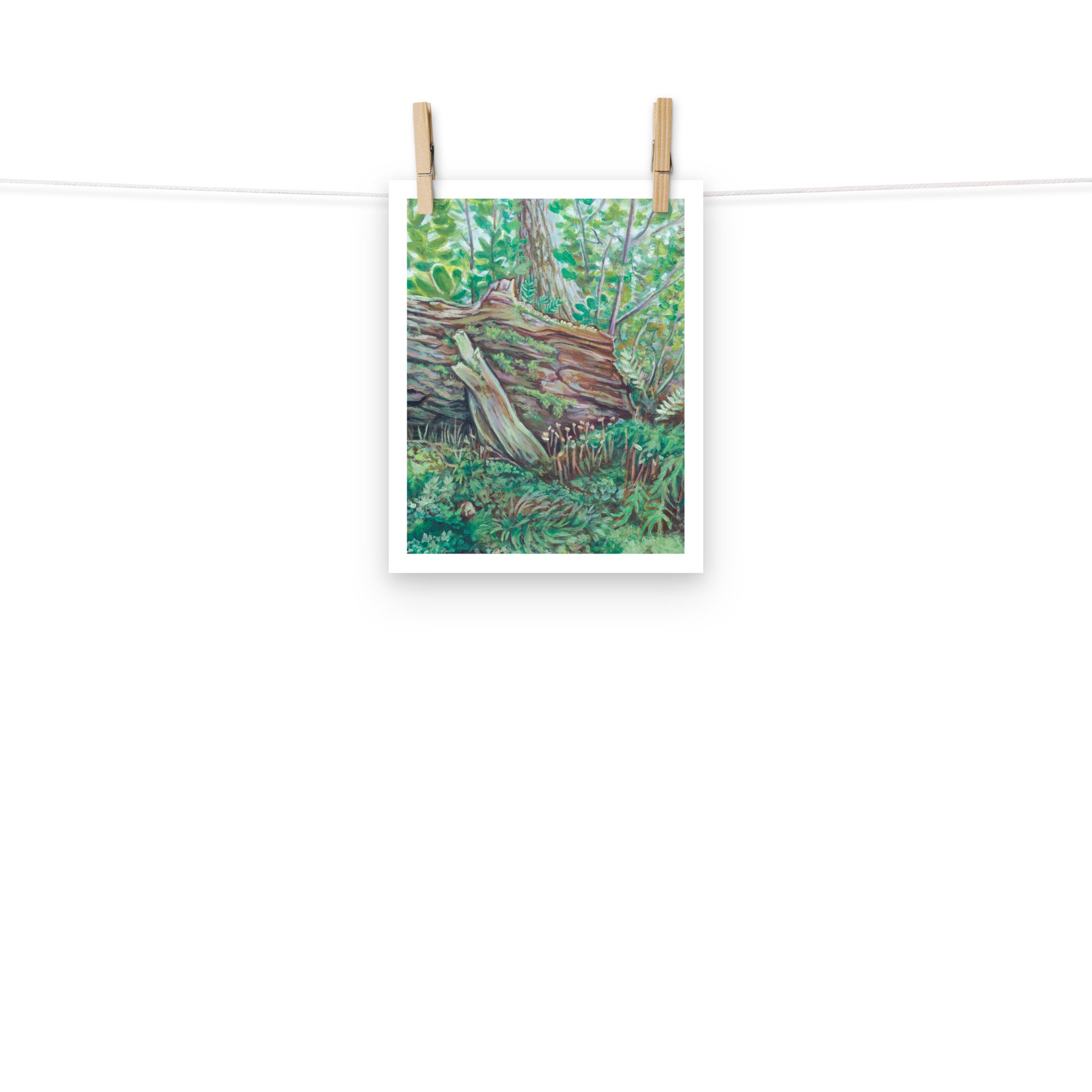 enhanced-matte-paper-poster-(in)-8x10-front-668f01d744039.jpg
