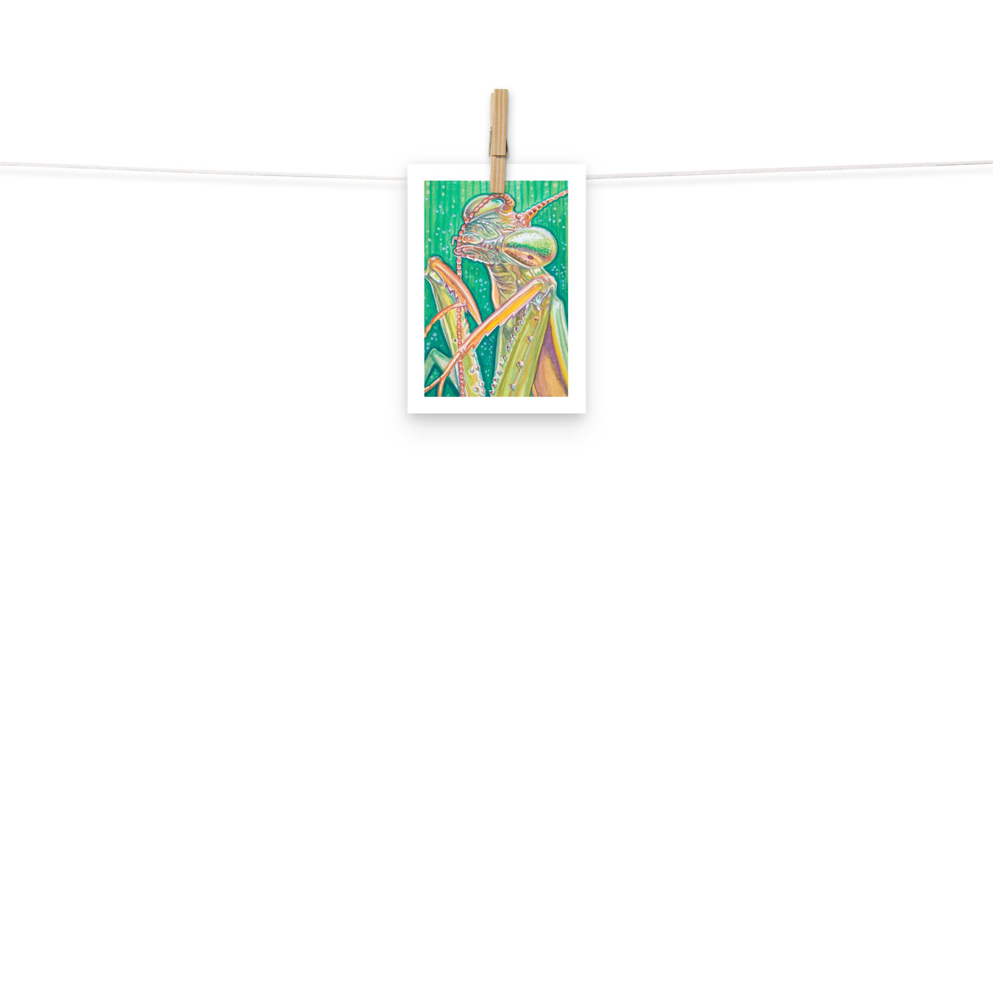 enhanced-matte-paper-poster-(in)-5x7-front-668f1f1eb86dc.jpg