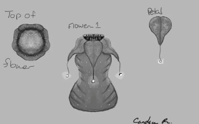 Candace_Ruimveld_Flower_1.1.jpg