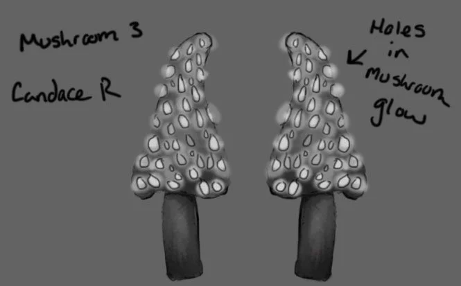 Candace_Ruimveld_Mushroom_3.3.jpg