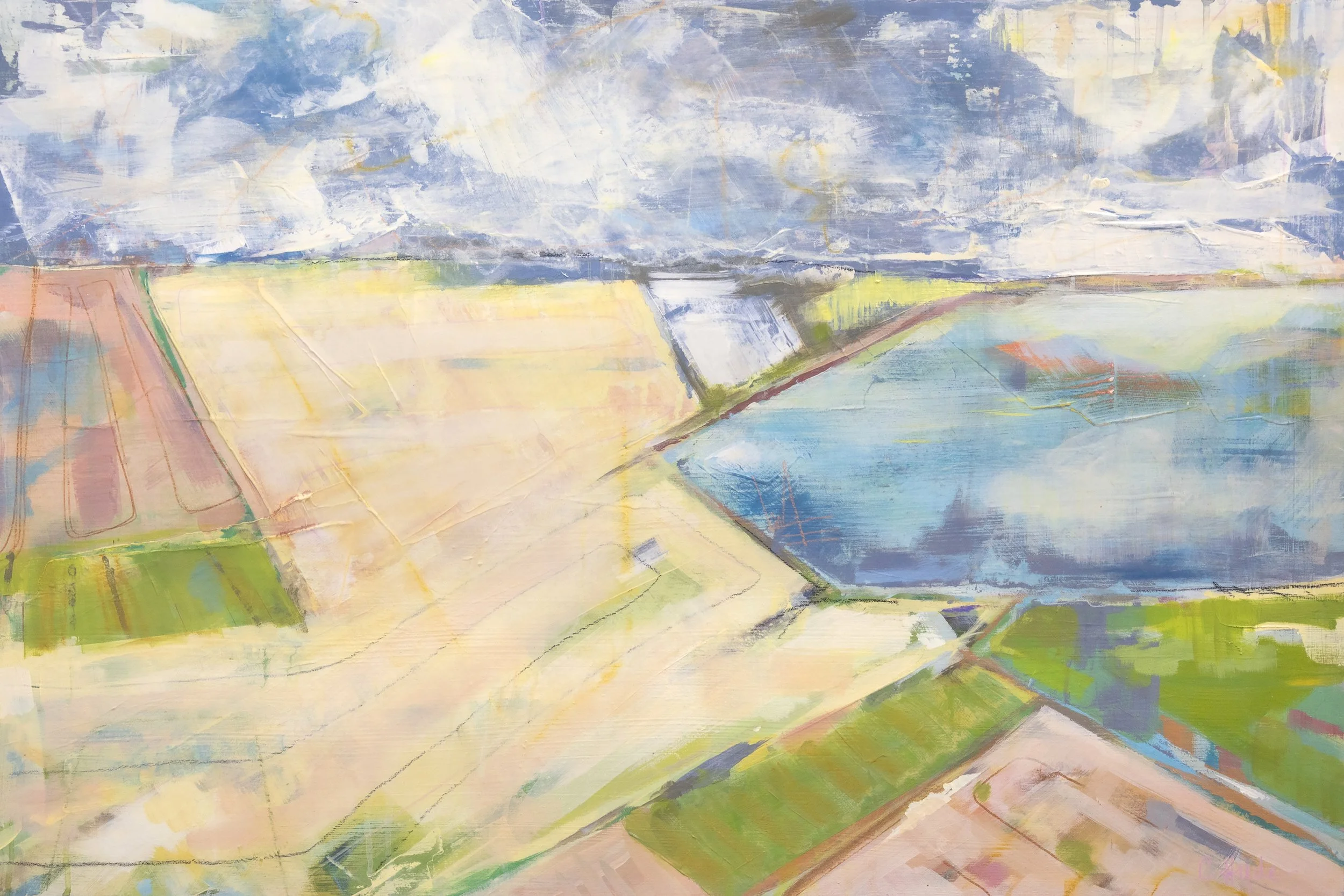  birds eye  
24 x 36 x 1.5" 
acrylic on birch 
$2100