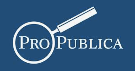 Pro-Publica Stillbirth Memorial