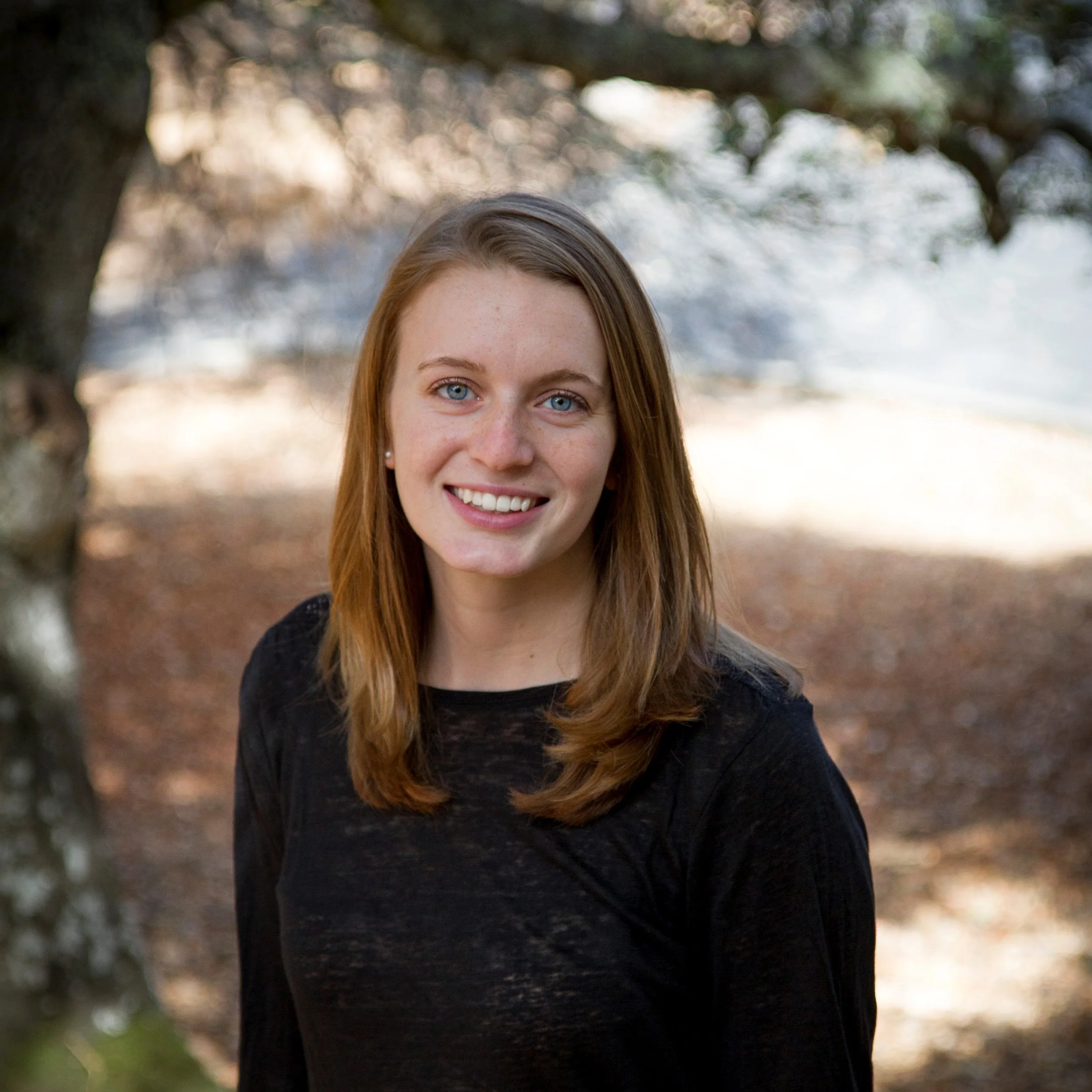 about-palo-alto-forward