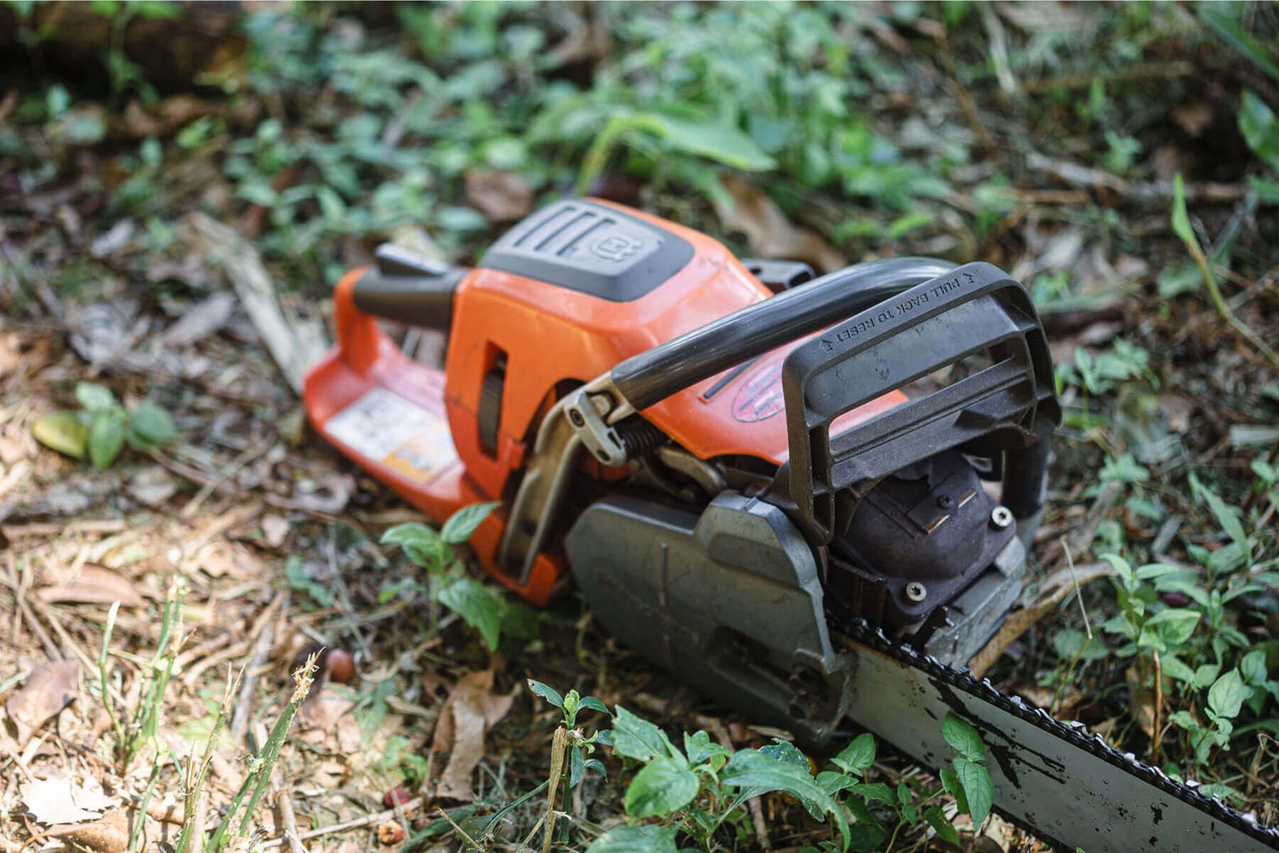 Treemendous-Tree-Surgery-Arborist-Sunshine-Coast-11.jpg