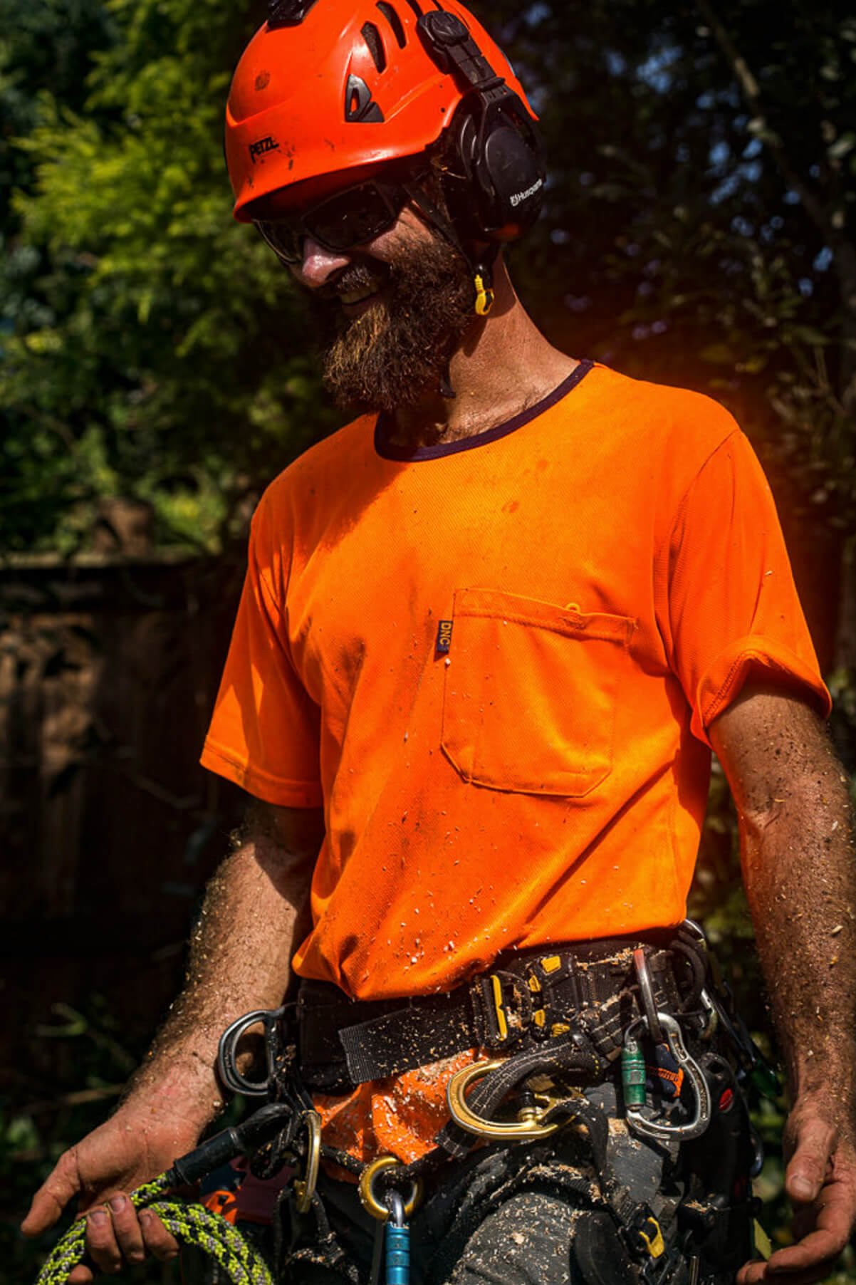 Treemendous-Tree-Surgery-Arborist-Sunshine-Coast-9.jpg