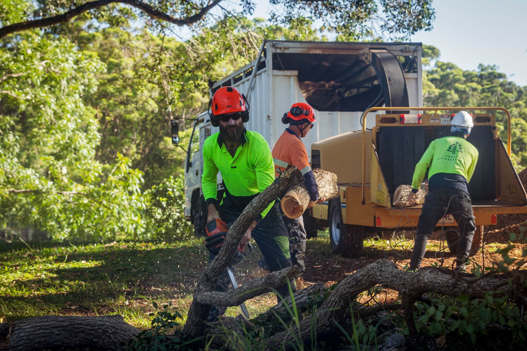 Treemendous-Tree-Surgery-Arborist-Sunshine-Coast-1.jpg