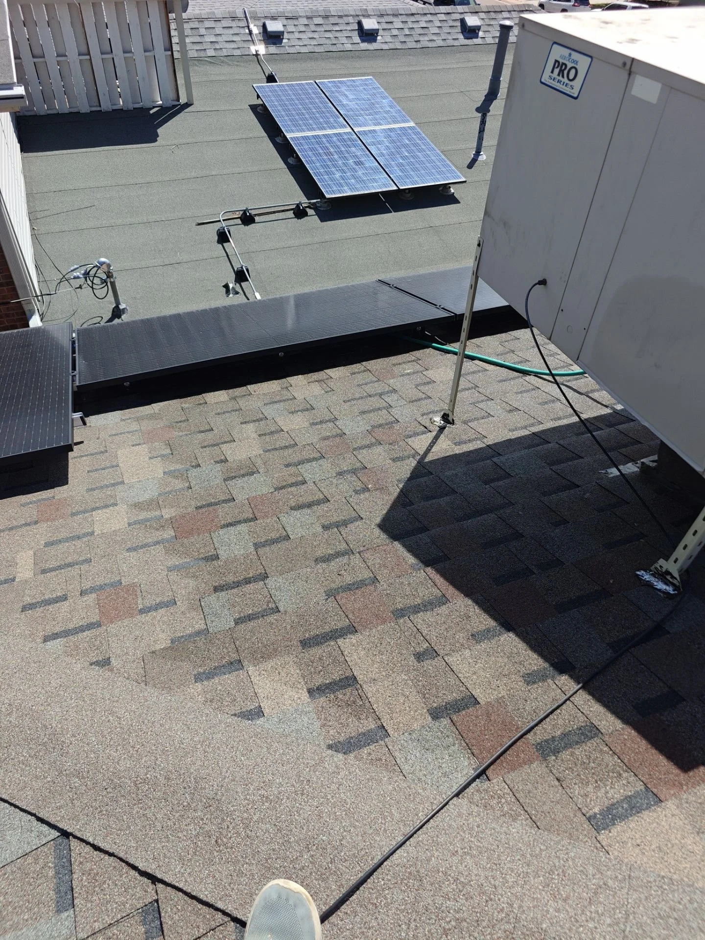 Exterior poly water line route leading toward a rooftop swamp cooler during a Wheat Ridge replacement project.