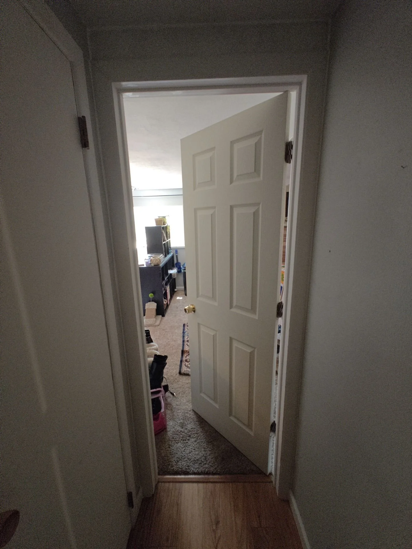 Installation of a 28-inch six-panel prehung door in a newly framed Arvada basement hallway.
