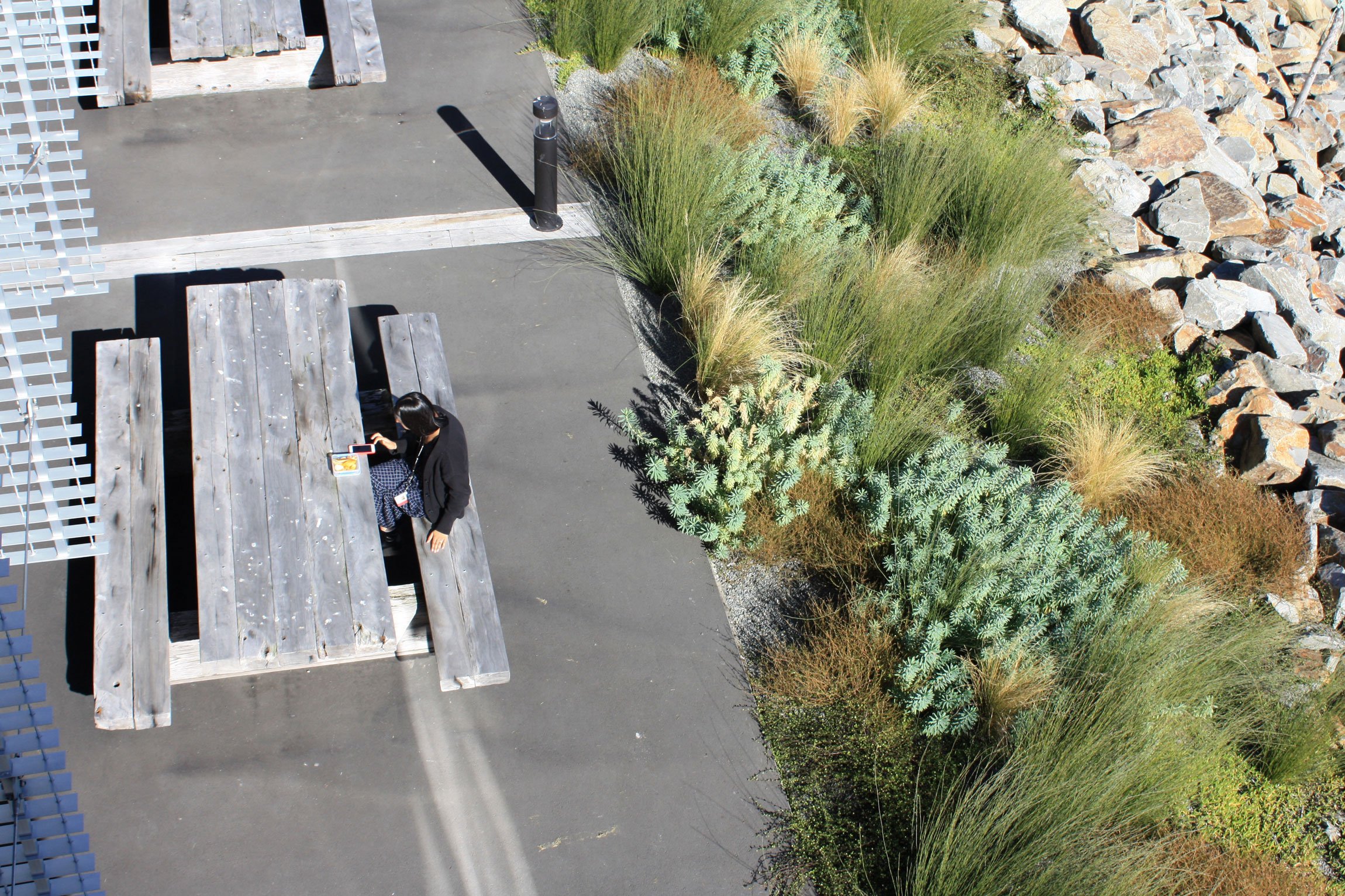 Waterfront picnic tables adjacent planting by Botanic Landscape Architects in Lyttelton, Christchurch