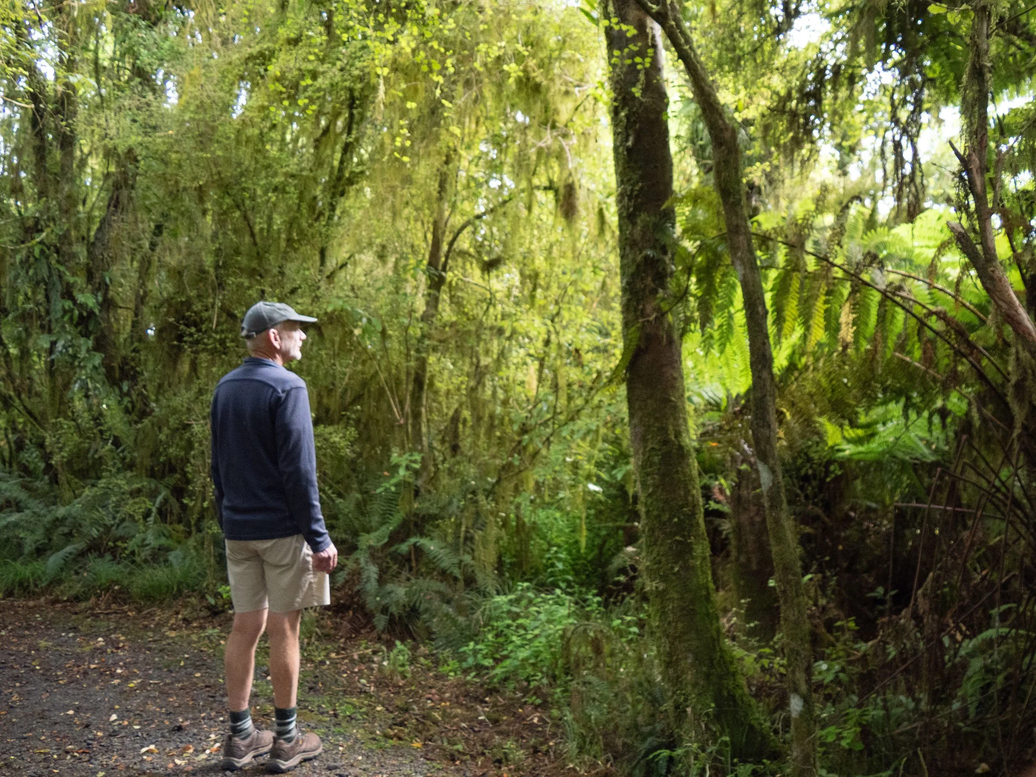 Botanic_Landscape-Architects_Te-kopikopiko-o-te-waka_park_11.jpg