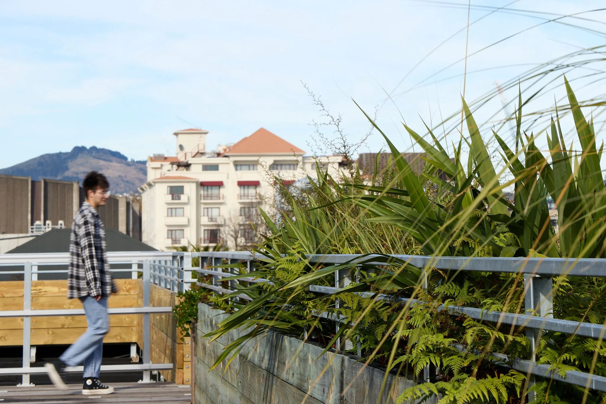 Botanic_Landscape-Architects_Community_Youth_Hub_11.jpg