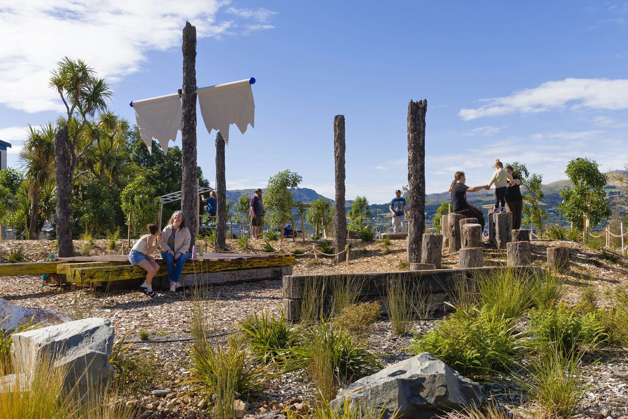 Timber stepping stones representing octopus tentacles by Botanic Landscape Architects in Lyttelton, Christchurch