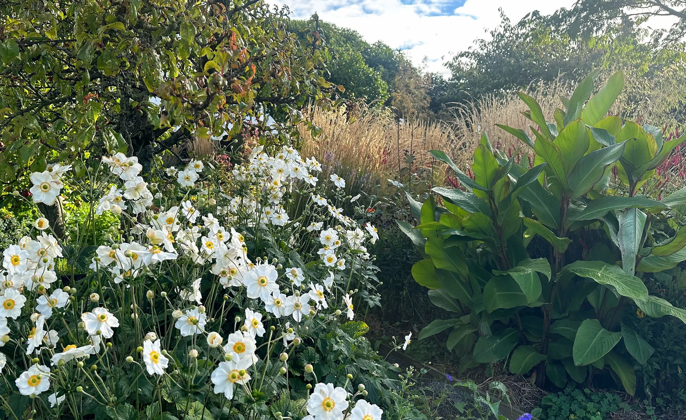 Botanic Landscape Architects planting garden design naturalistic