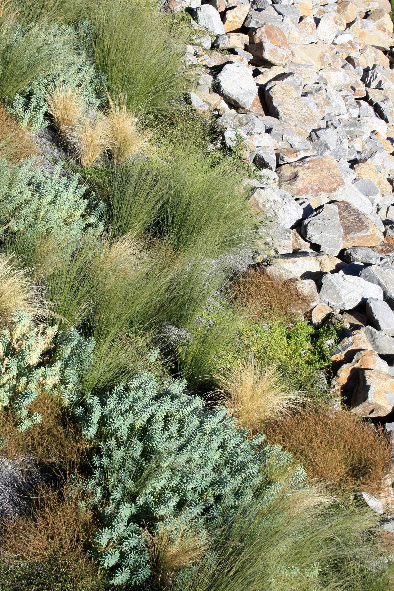 Commercial | Waterfront House