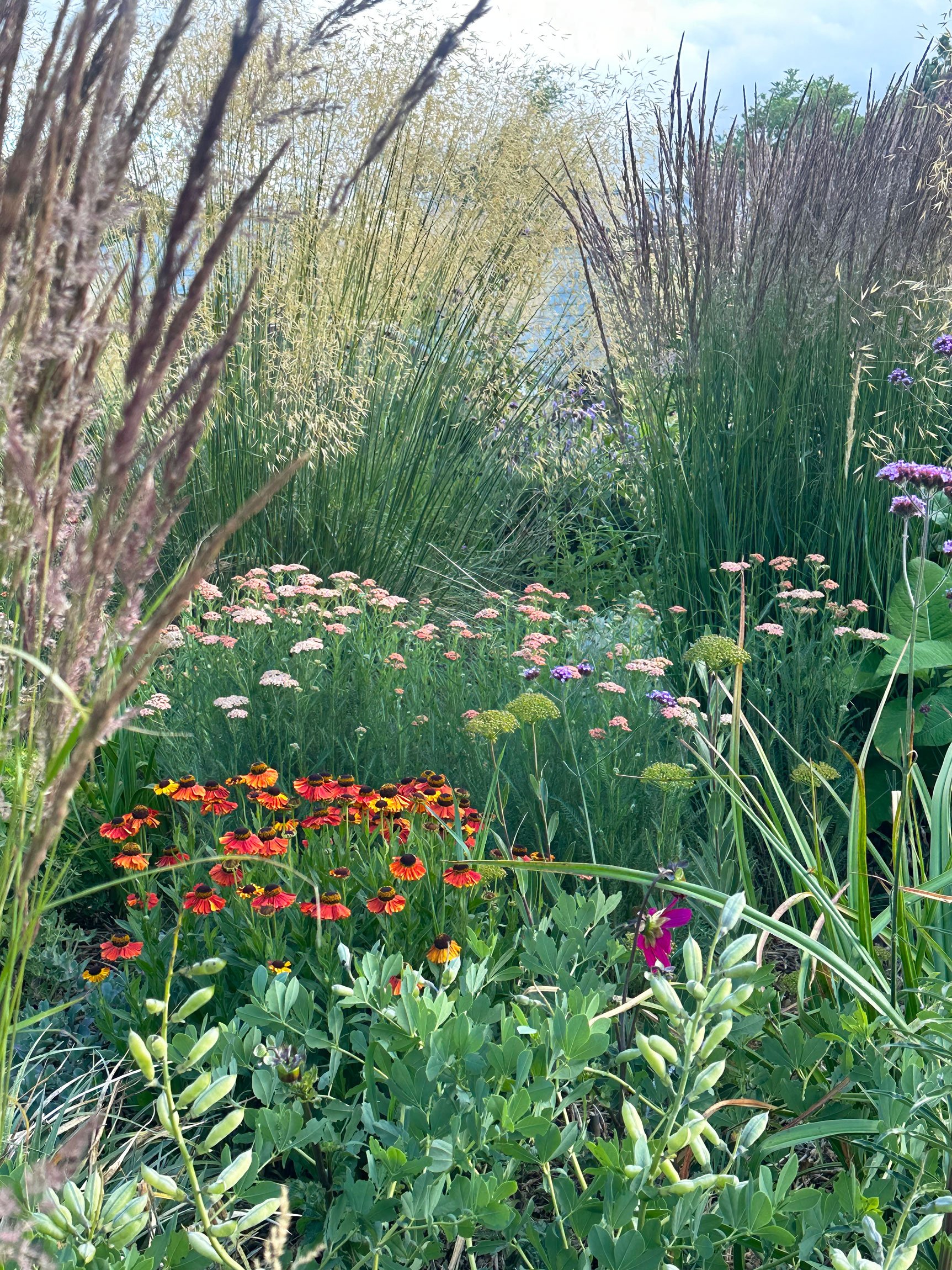 Botanic Landscape Architects planting garden design naturalistic