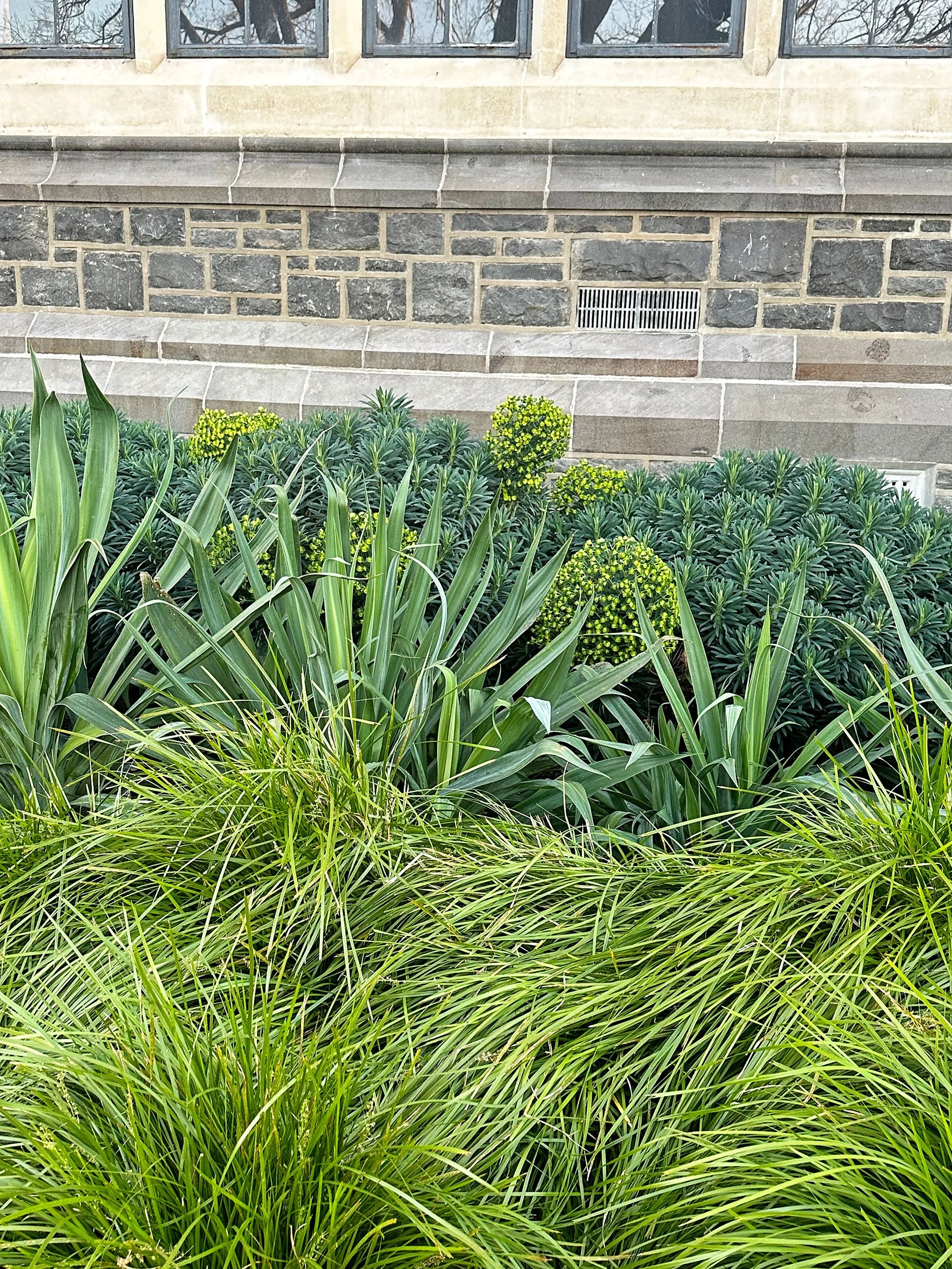 Botanic_Landscape-Architects_Chch-Boys_High-10.jpg