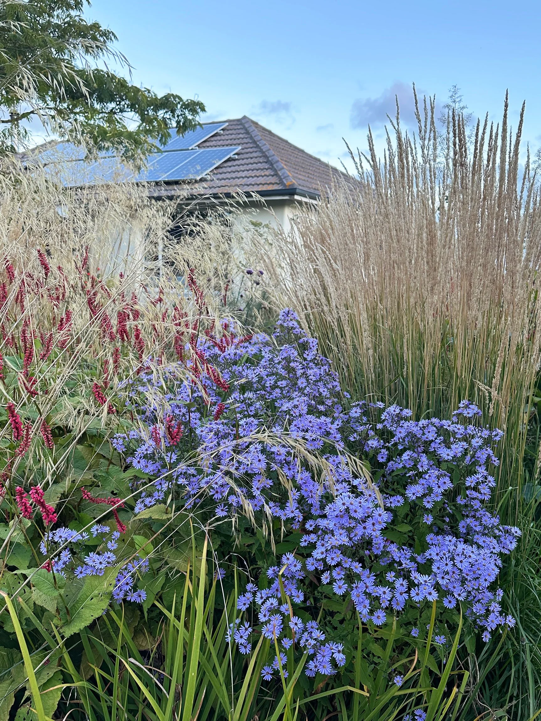 Botanic Landscape Architects planting garden design naturalistic