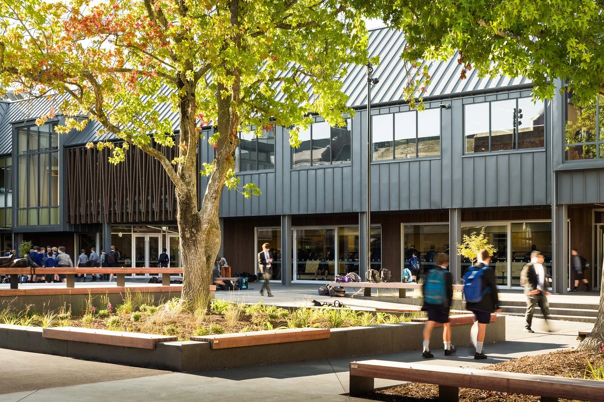 Integrated planters and seating for socialising by Botanic Landscape Architects in Christchurch