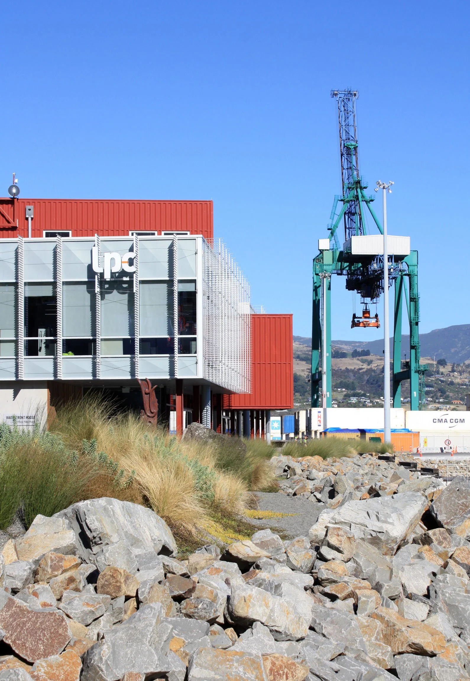 Coastal ecological planting by Botanic Landscape Architects in Lyttelton, Christchurch