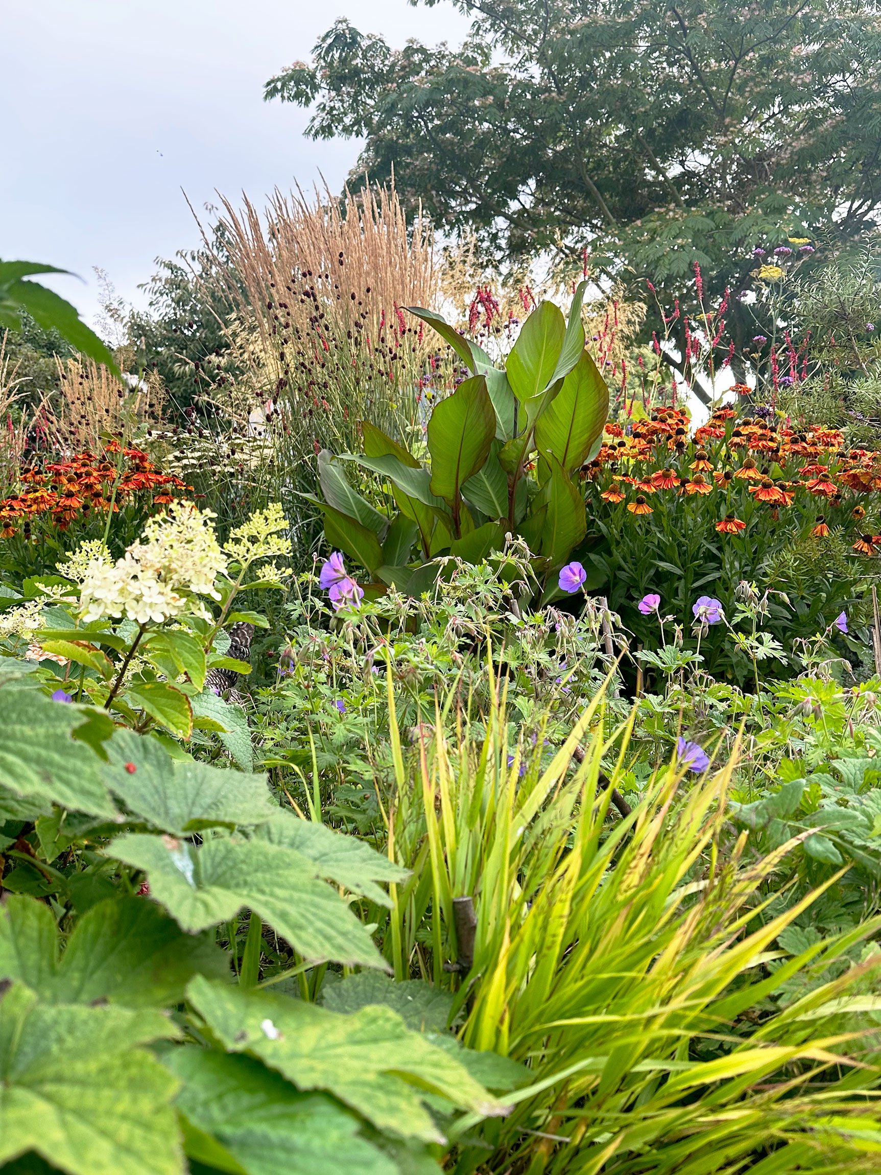 Botanic Landscape Architects planting garden design naturalistic