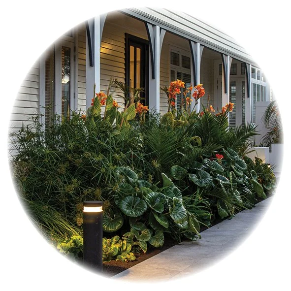 Creating a lush subtropical style planting using cold hardy plants