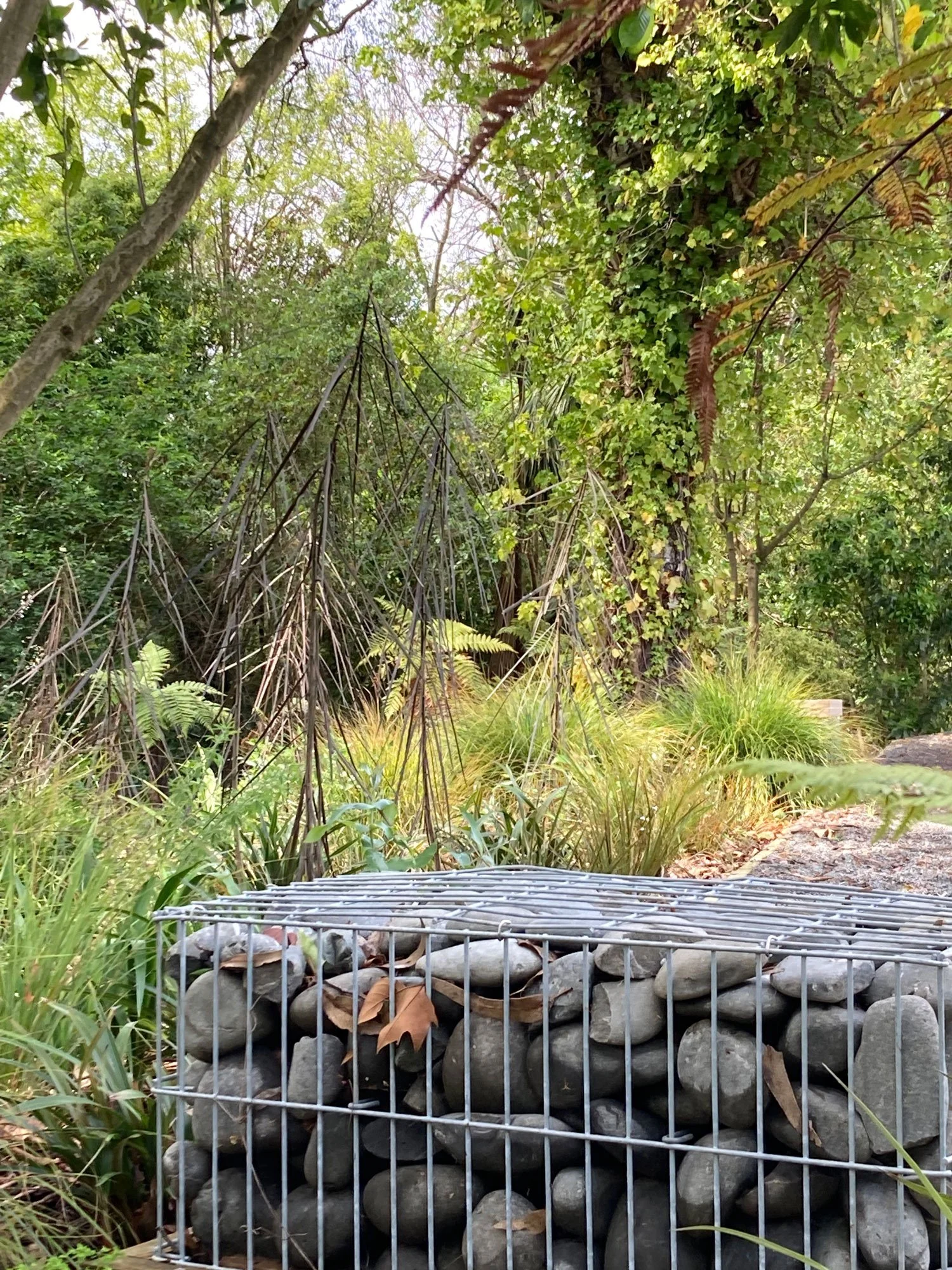 Ecological planting and gabion walls by Botanic Landscape Architects in Christchurch