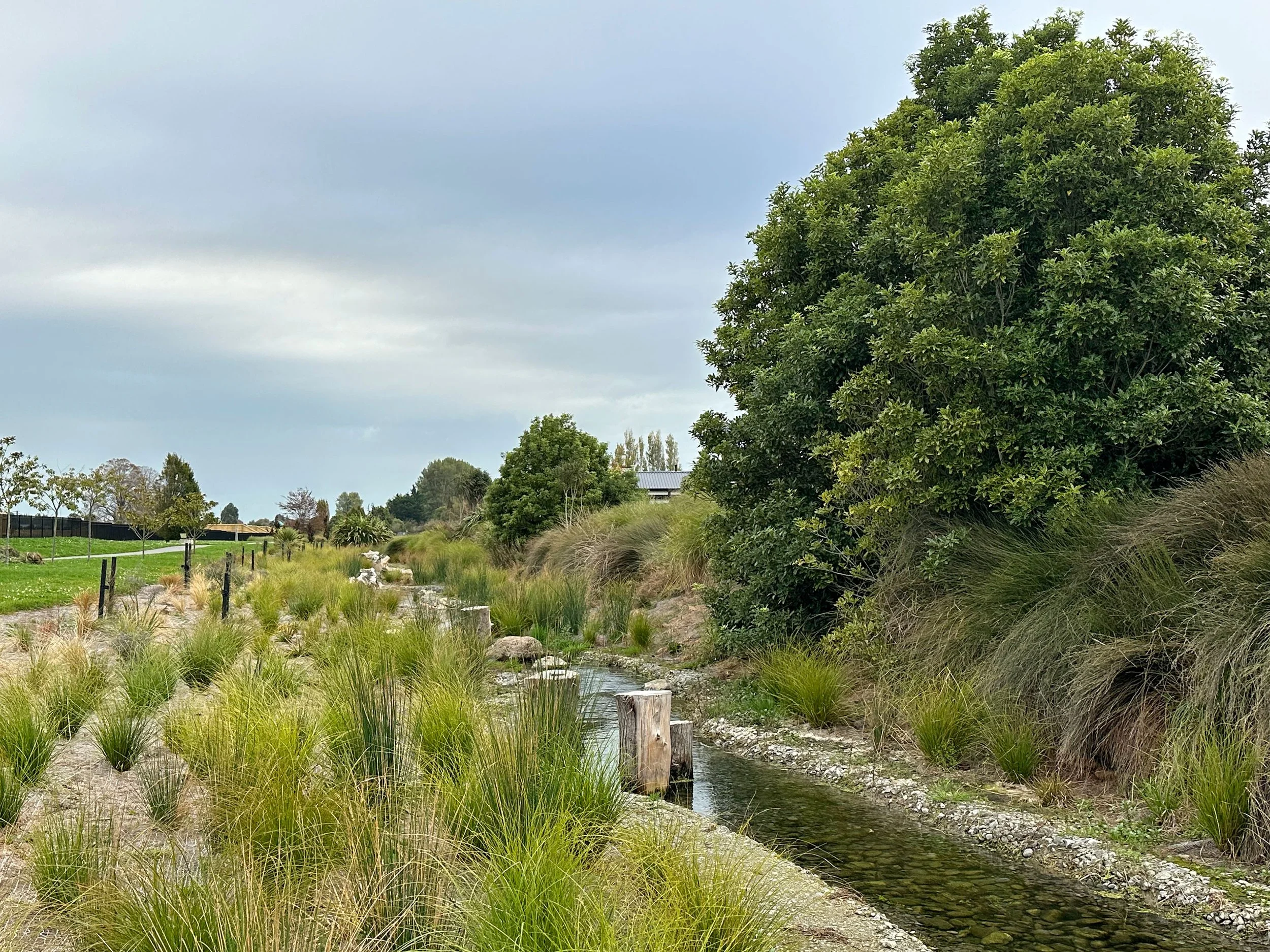 Parks | Gardiners Waterway Enhancement
