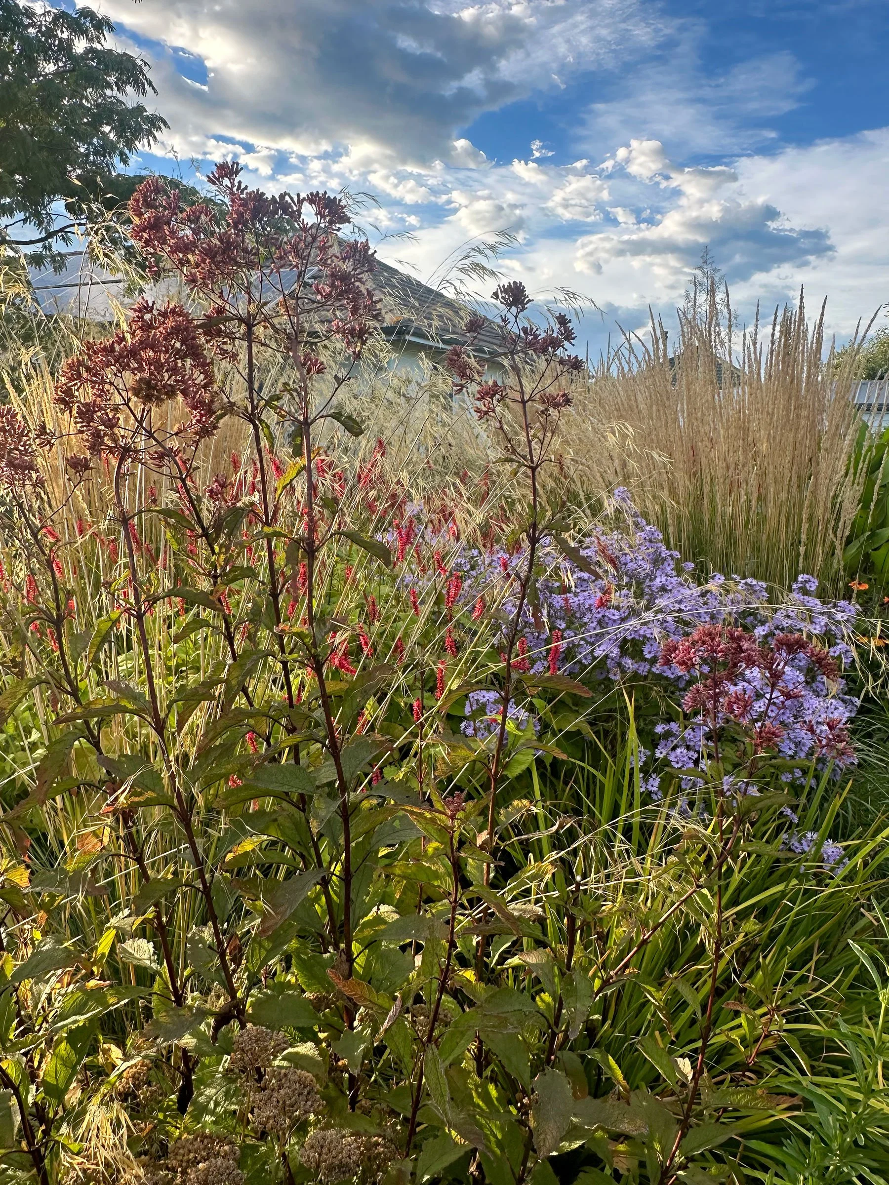 Botanic Landscape Architects planting garden design naturalistic