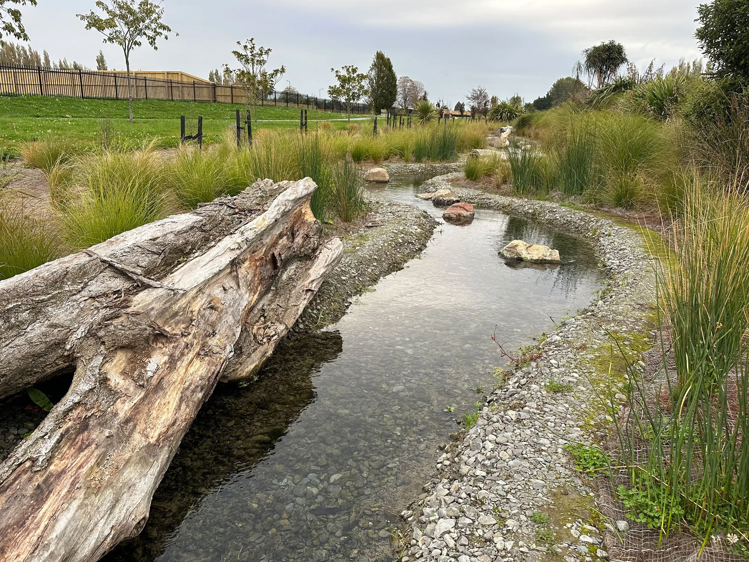 Botanic Landscape Architects Ecological Stream Restoration