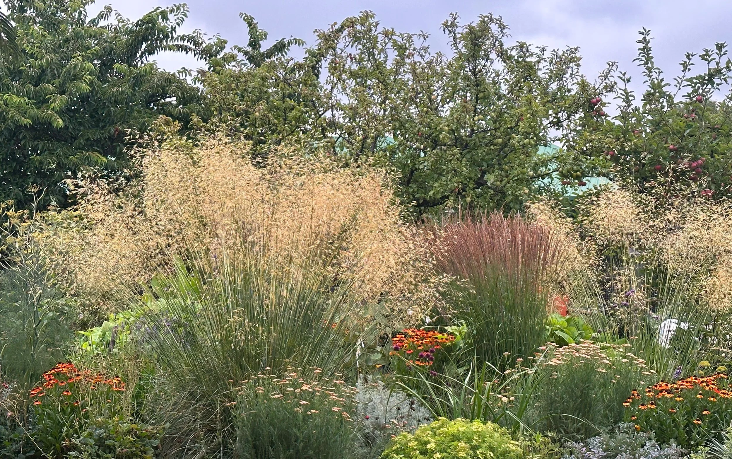 Botanic Landscape Architects planting garden design naturalistic