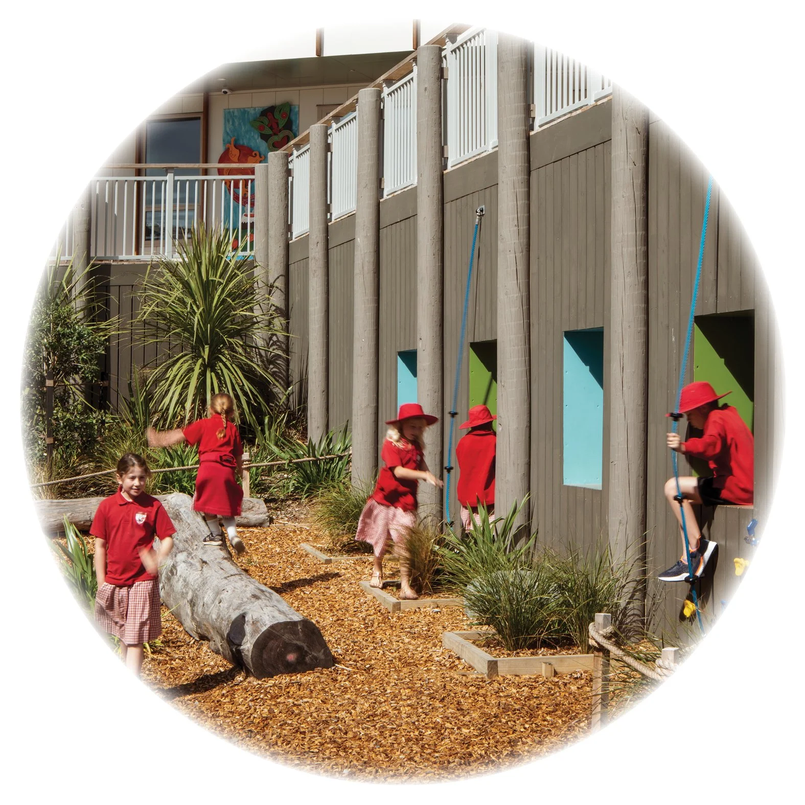 Te Raekura Redcliffs School