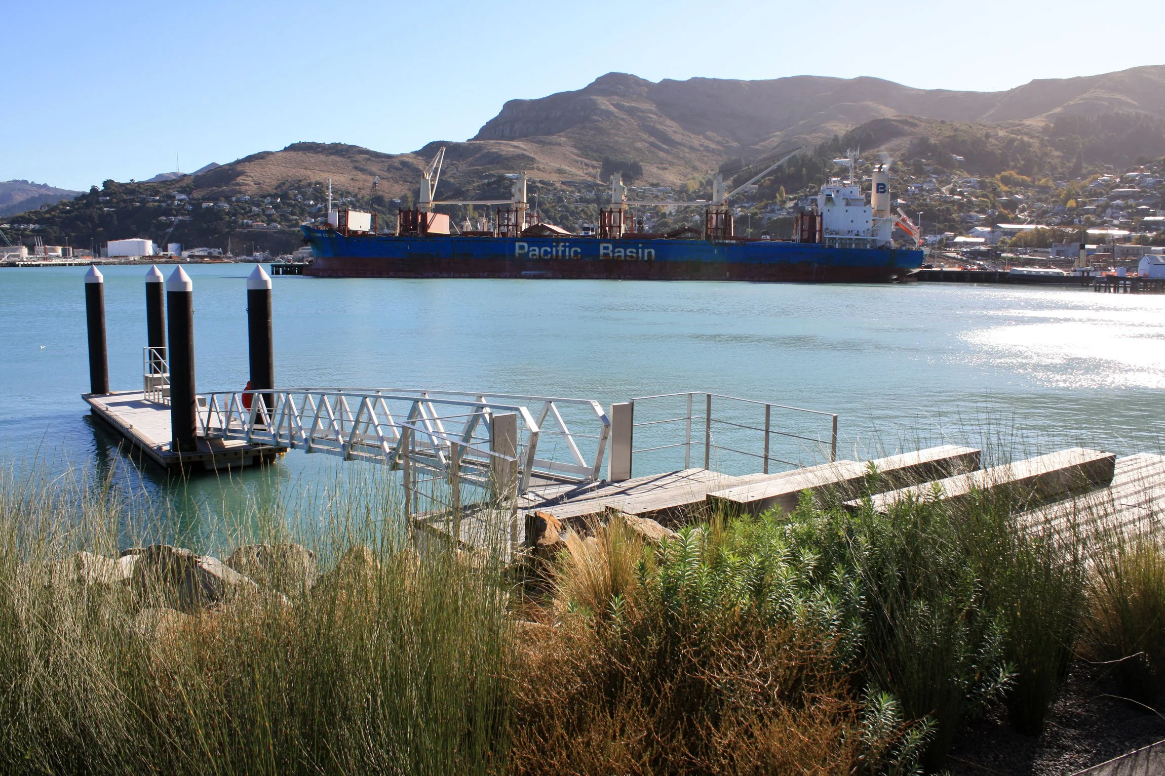 Waterfront landscape planting by Botanic Landscape Architects in Lyttelton, Christchurch
