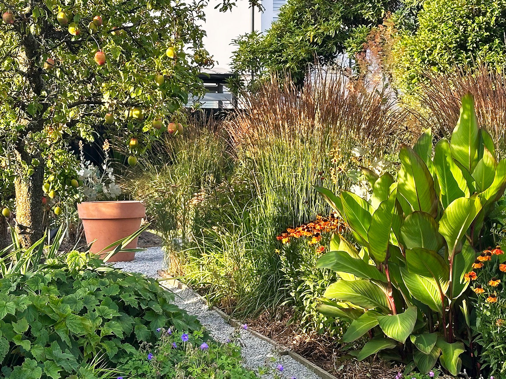 Botanic Landscape Architects planting garden design naturalistic