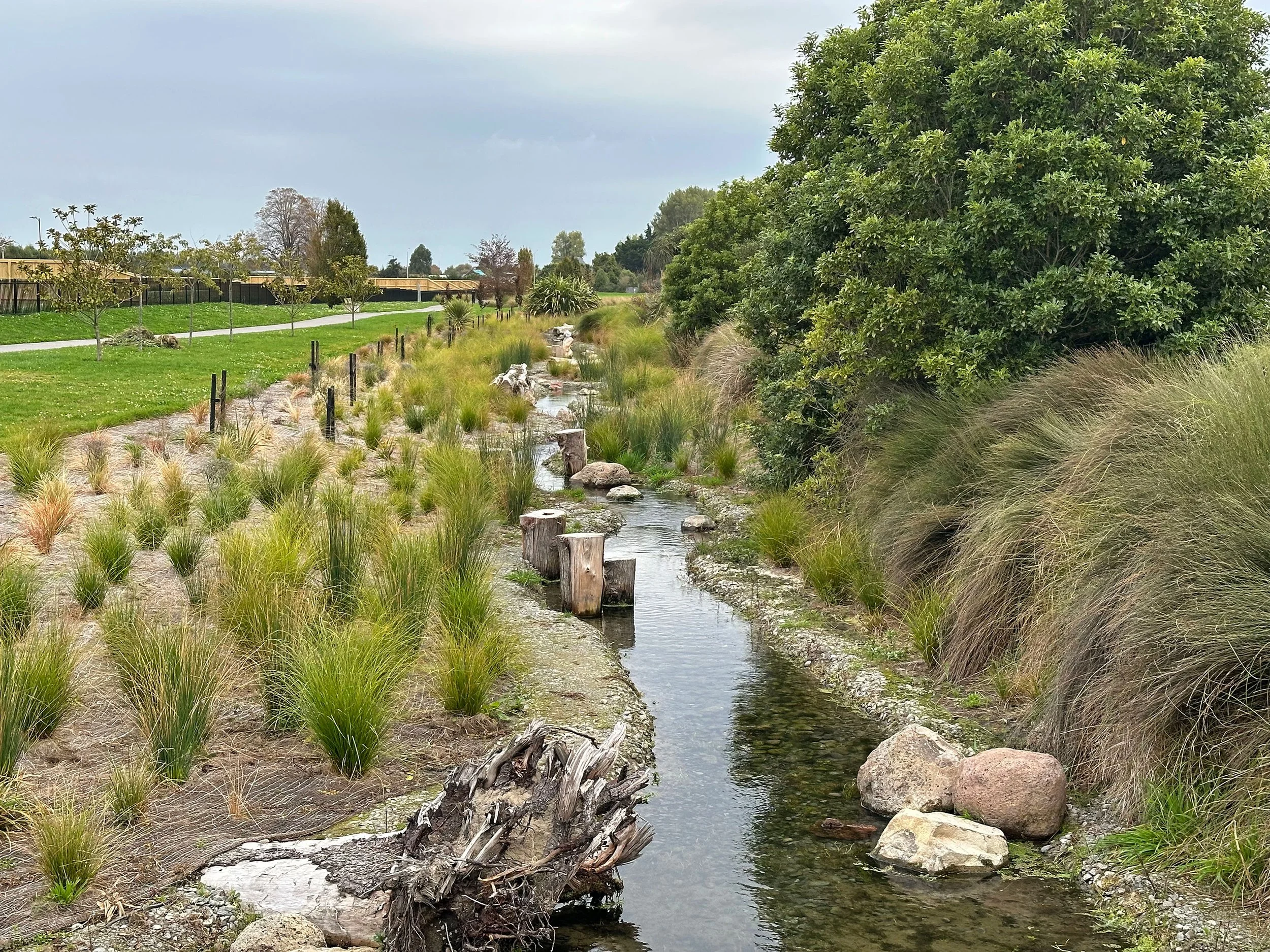 Botanic Landscape Architects Ecological Stream Restoration
