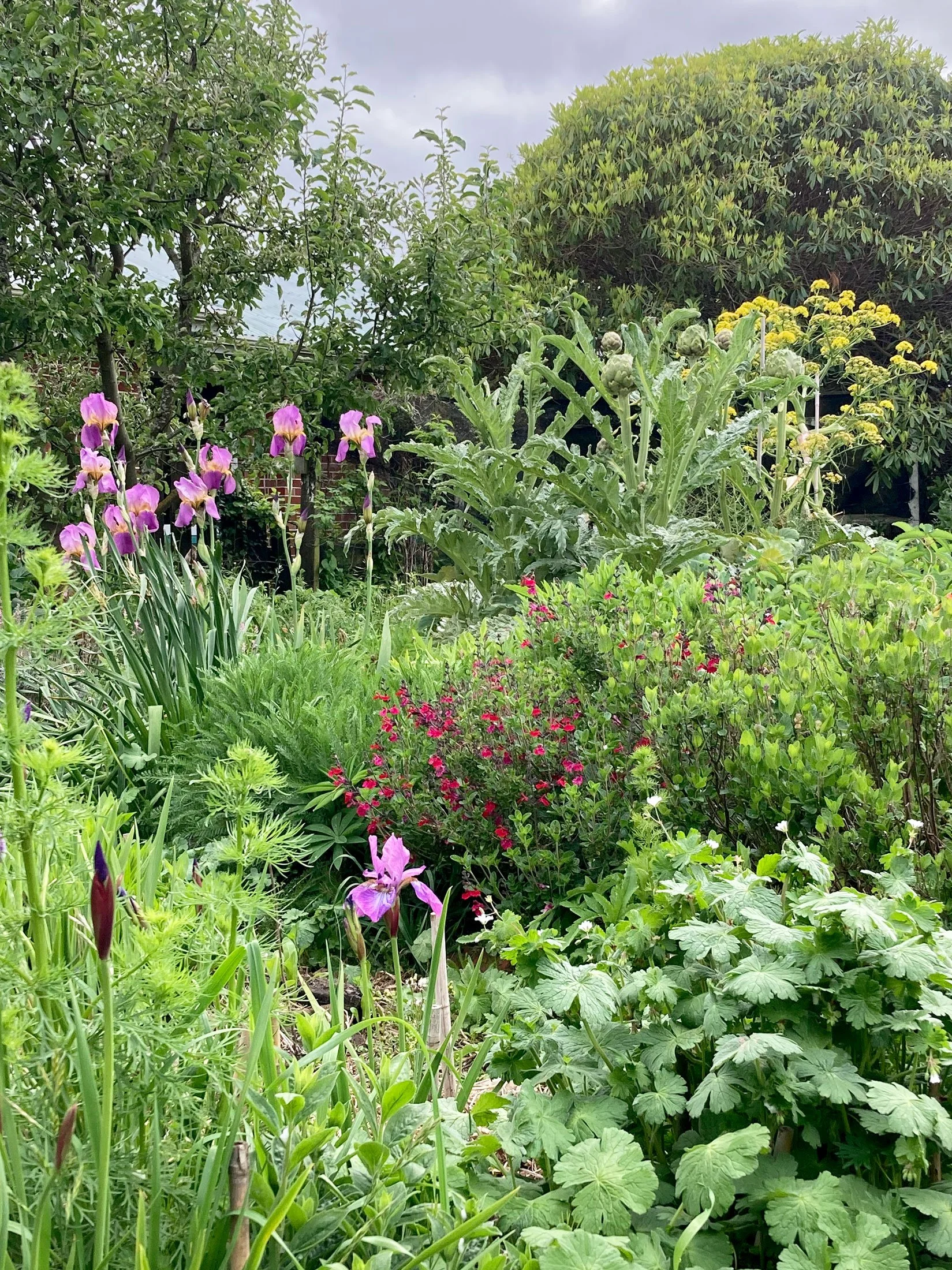 Botanic Landscape Architects planting garden design naturalistic