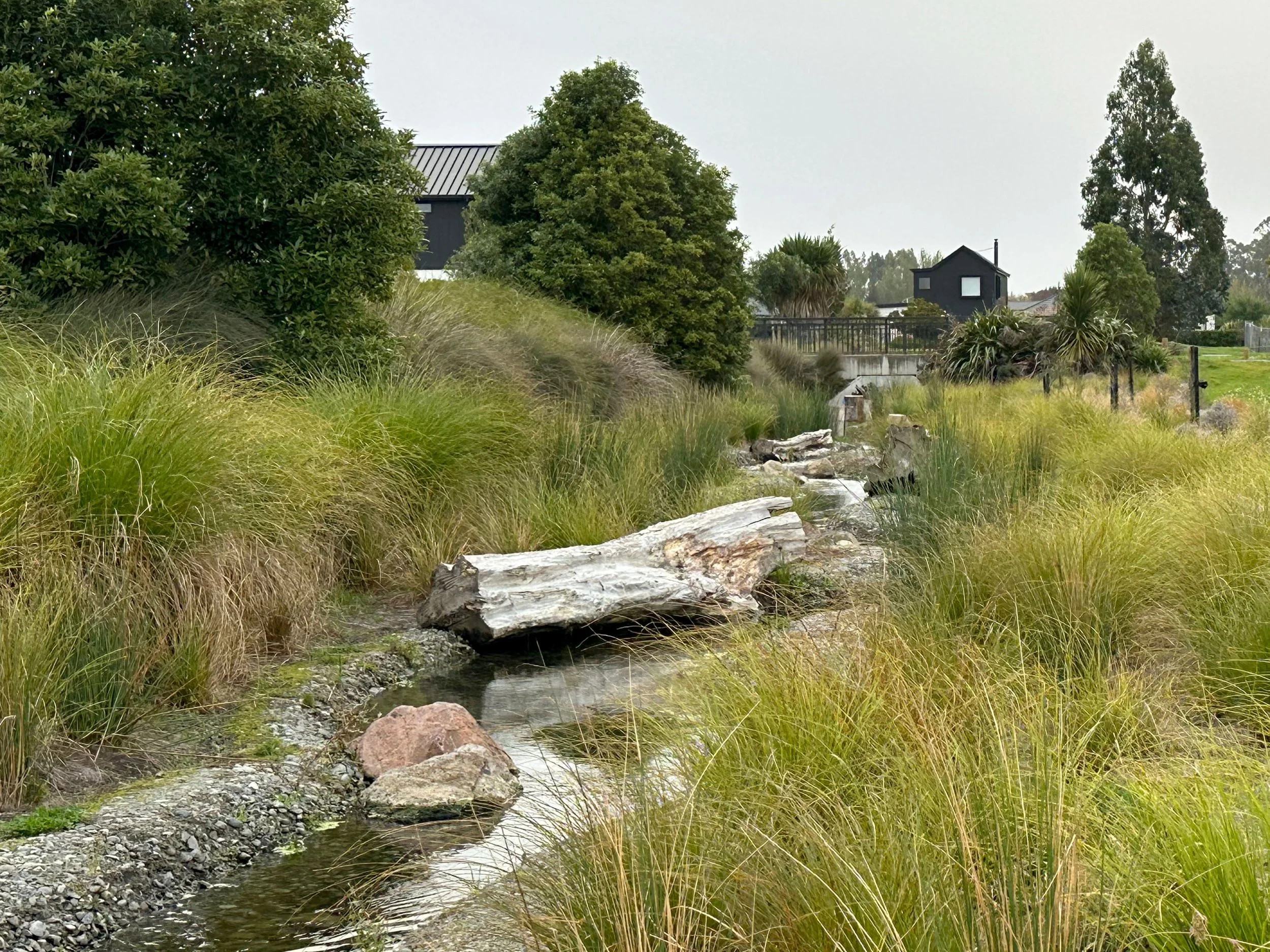 Botanic Landscape Architects Ecological Stream Restoration