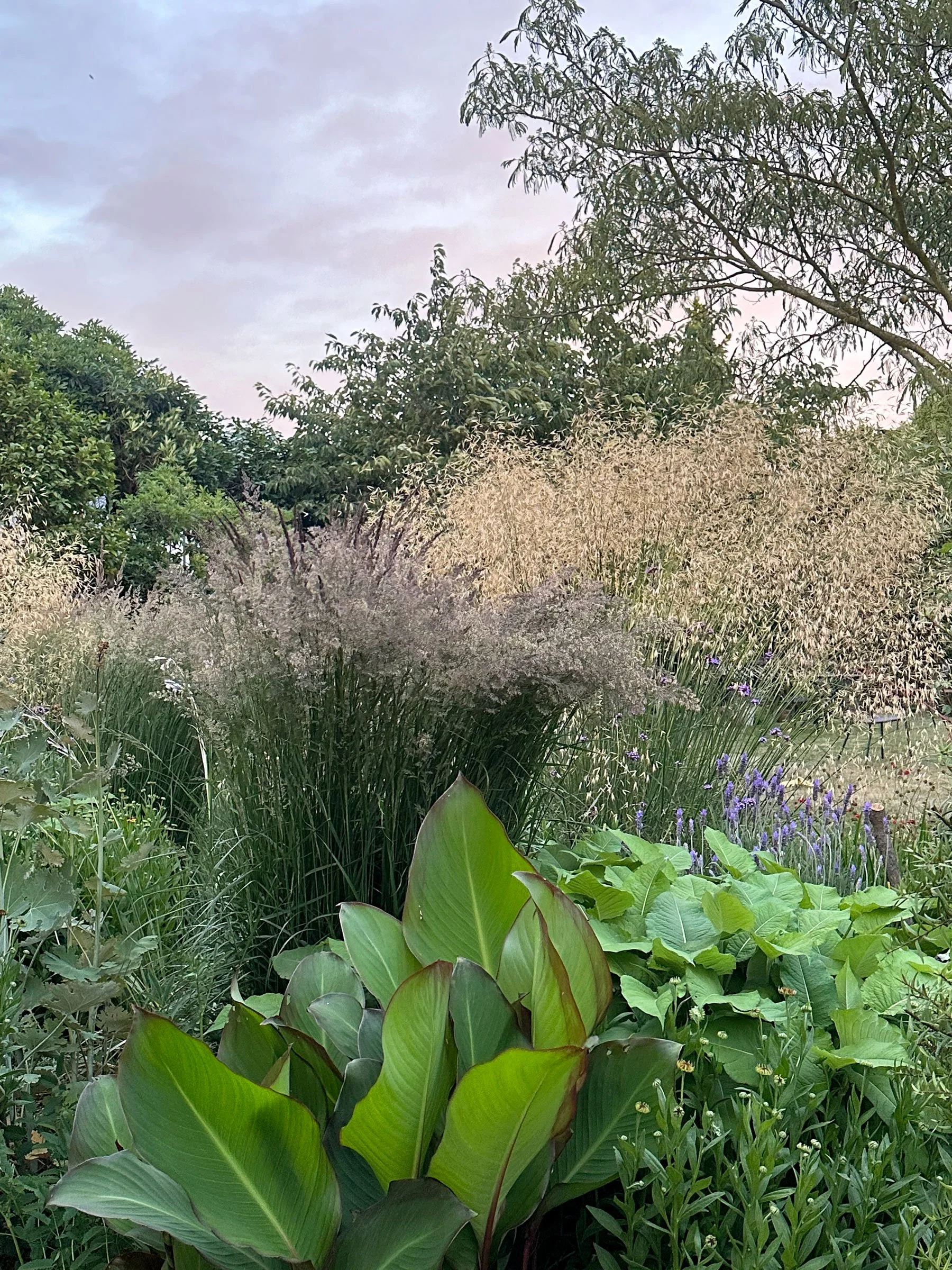 Botanic Landscape Architects planting garden design naturalistic
