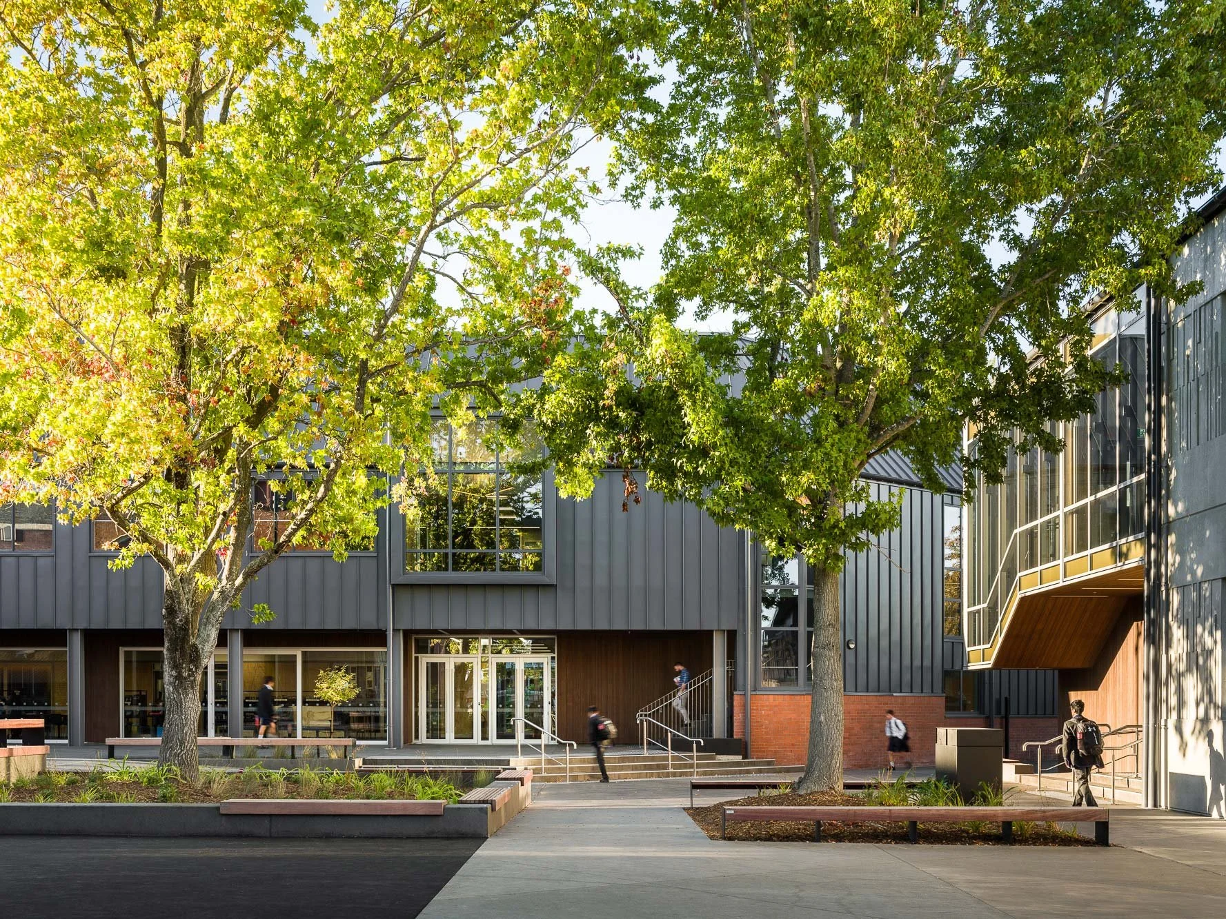 New landscape design integrated with existing mature trees by Botanic Landscape Architects in Christchurch