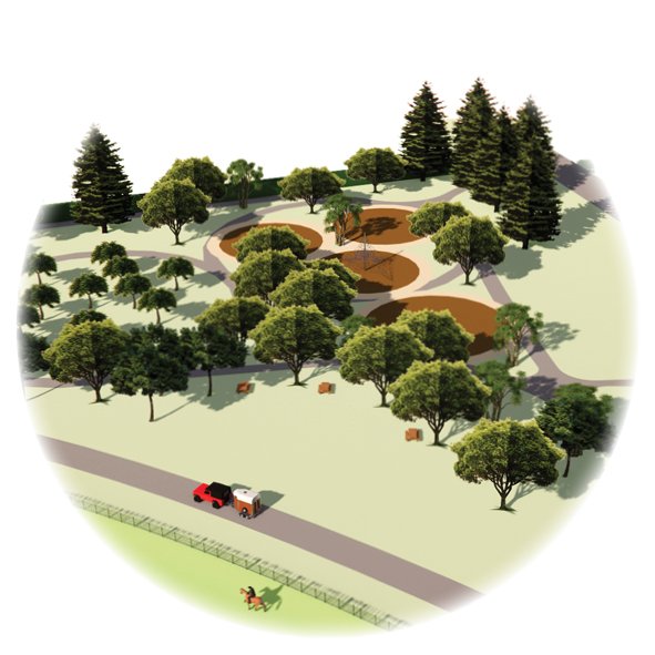 Hororata Reserve Master Plan - in collaboration with Hamish Shaw Architects