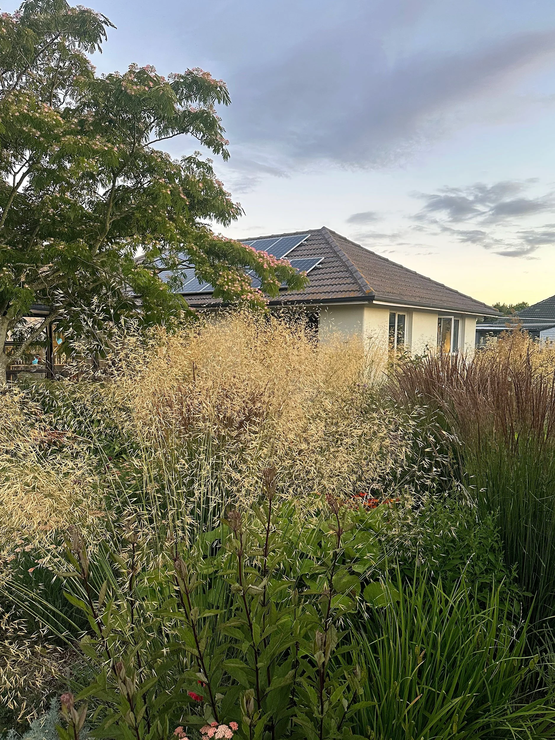 Botanic Landscape Architects planting garden design naturalistic