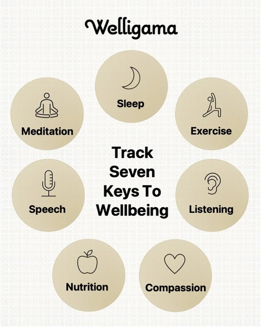 You Cannot Manage What You Don't Measure.

Do a Daily Check-In to Self-Track Seven Core Wellbeing Essentials - 

1) Sleep, 2) Meditation, 3) Exercise, 4) Speech, 5) Listening, 6) Nutrition &amp; 7) Compassion.