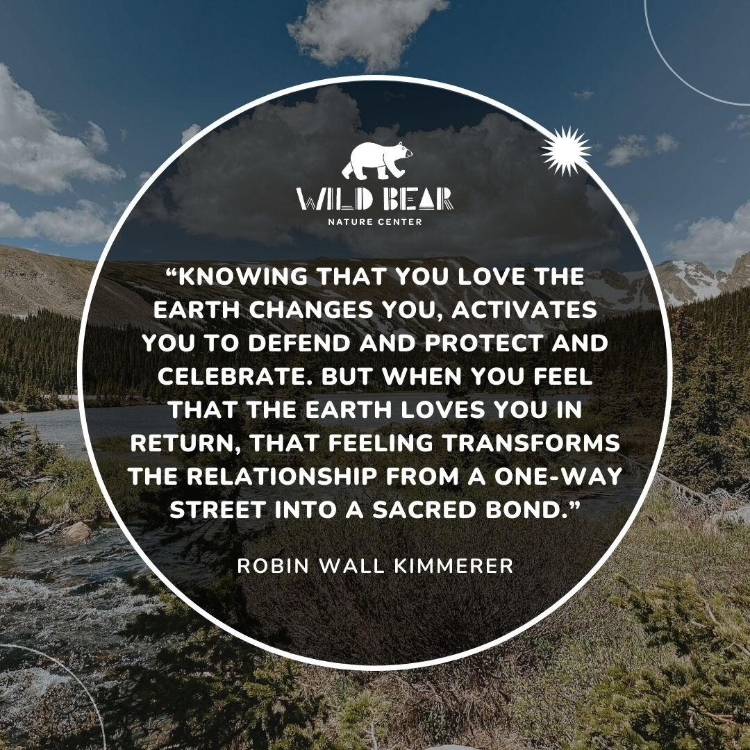 Our mission in a nutshell. 🌿⁠
⁠
#protecttheearth #activism #wildbear